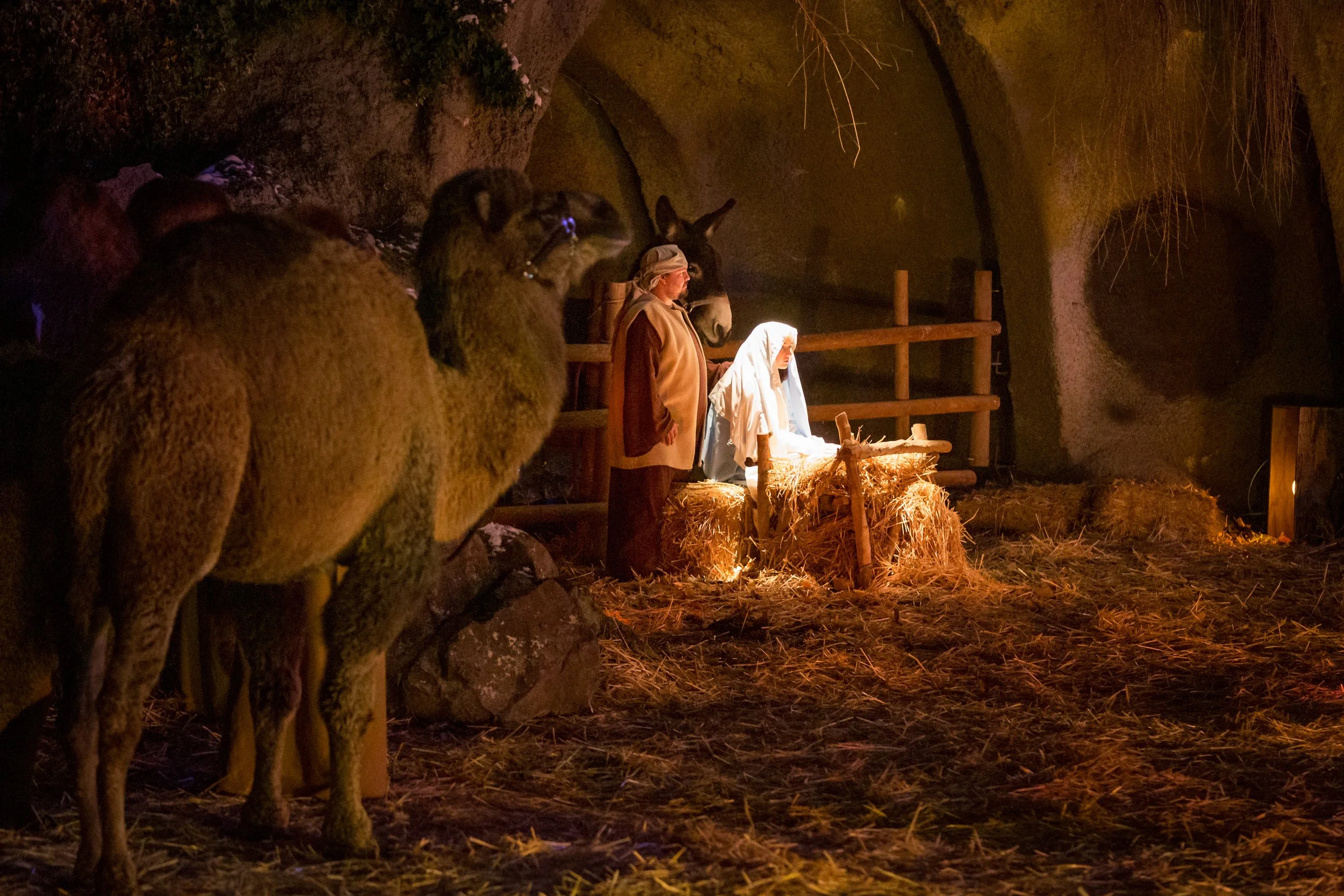 The Living Nativity — Hillspring Church