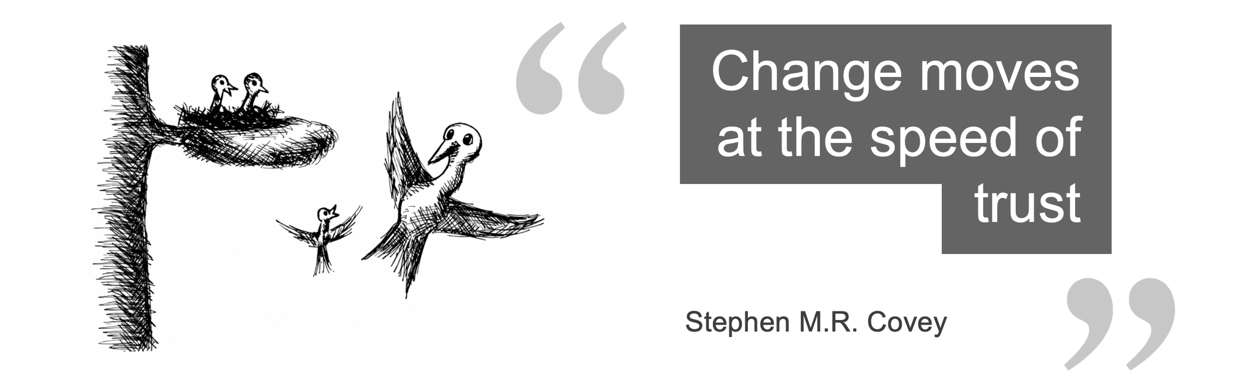Change moves at the speed of trust