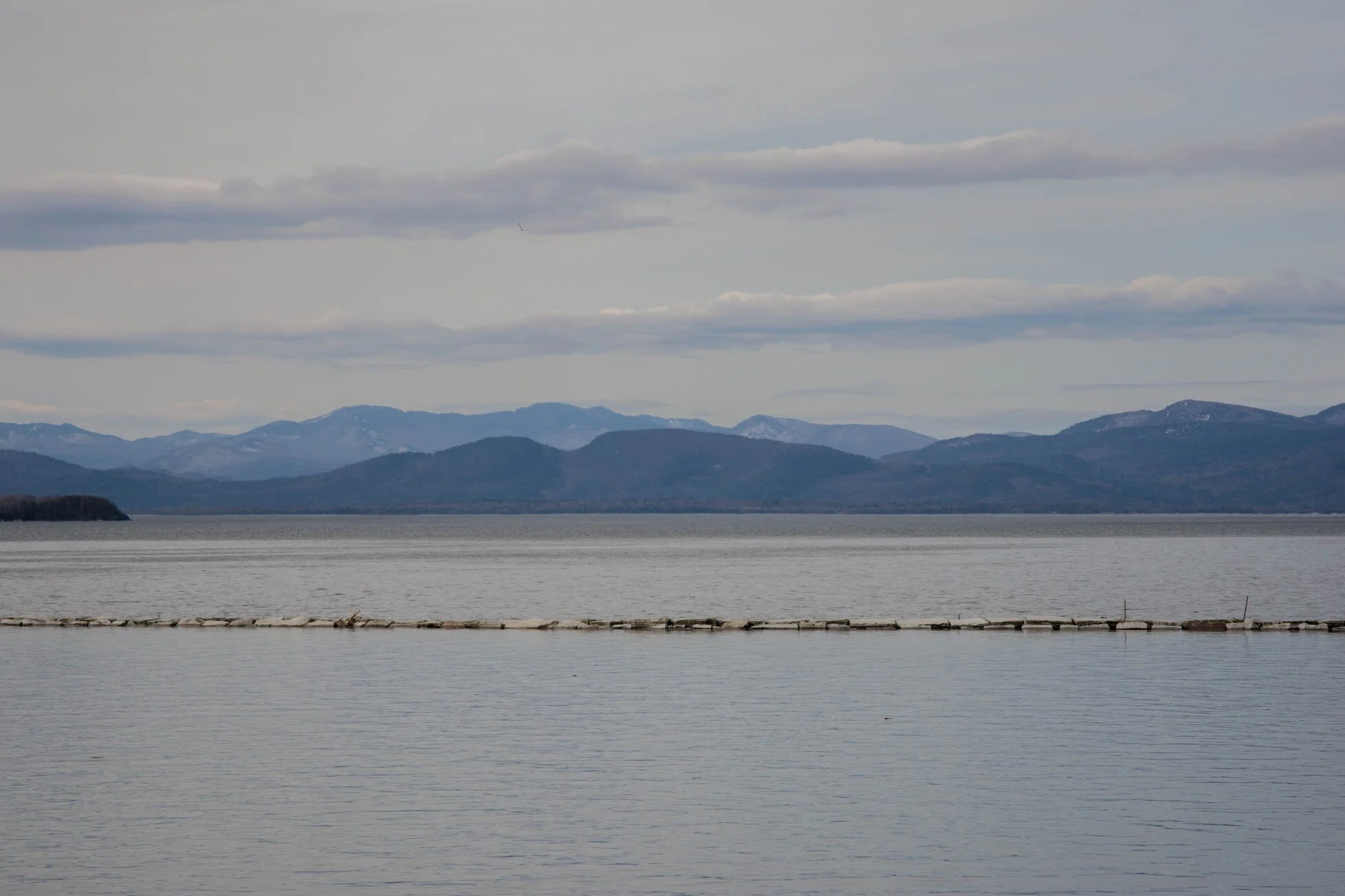 DSC_8537.jpg