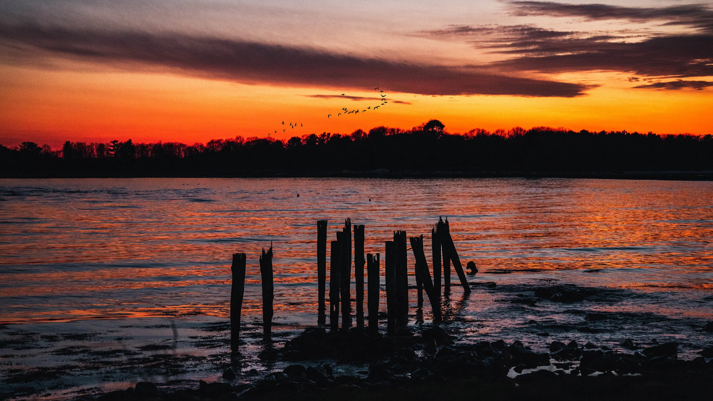 DSC03815-Edit.jpg