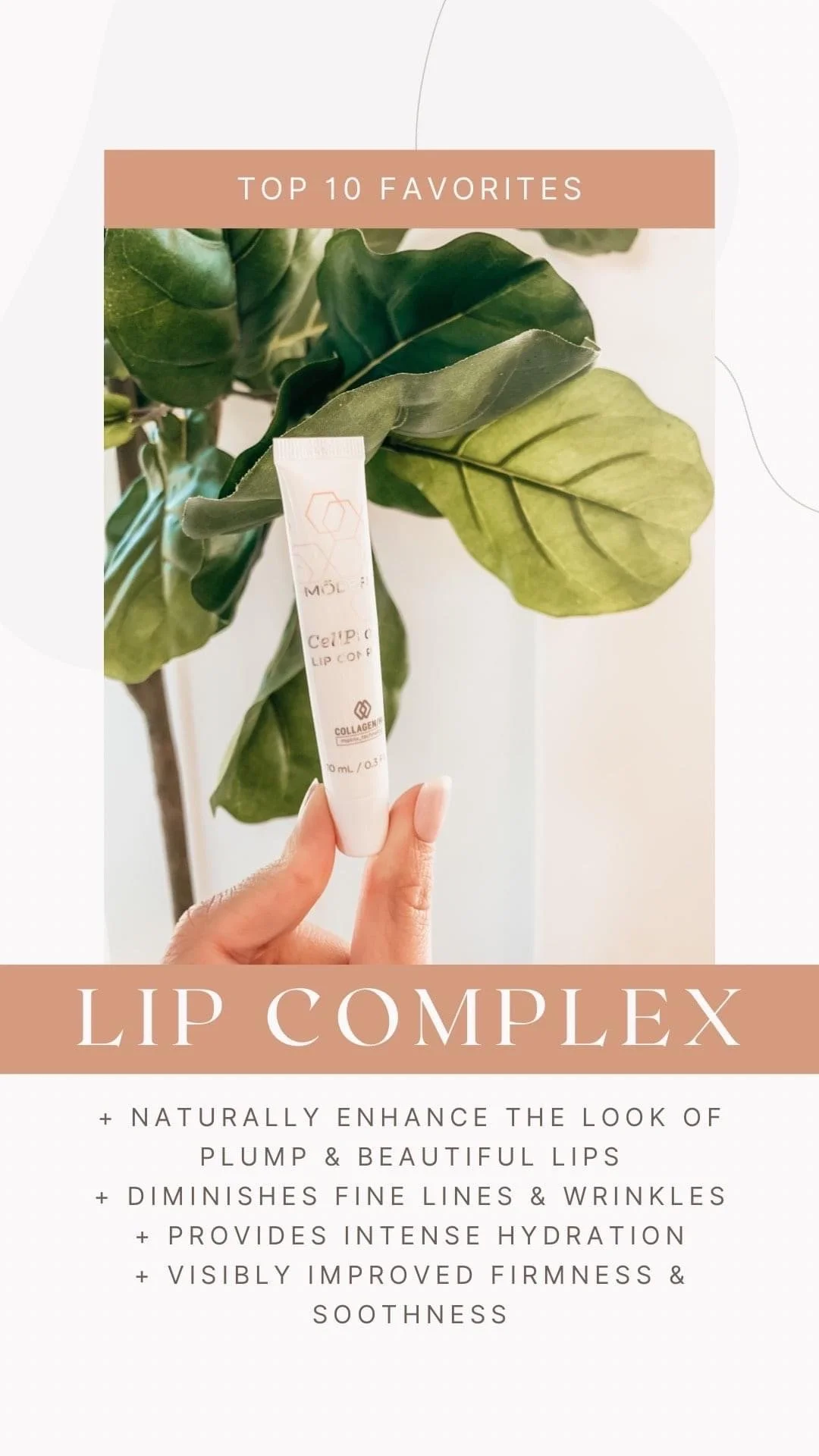 Lip complex