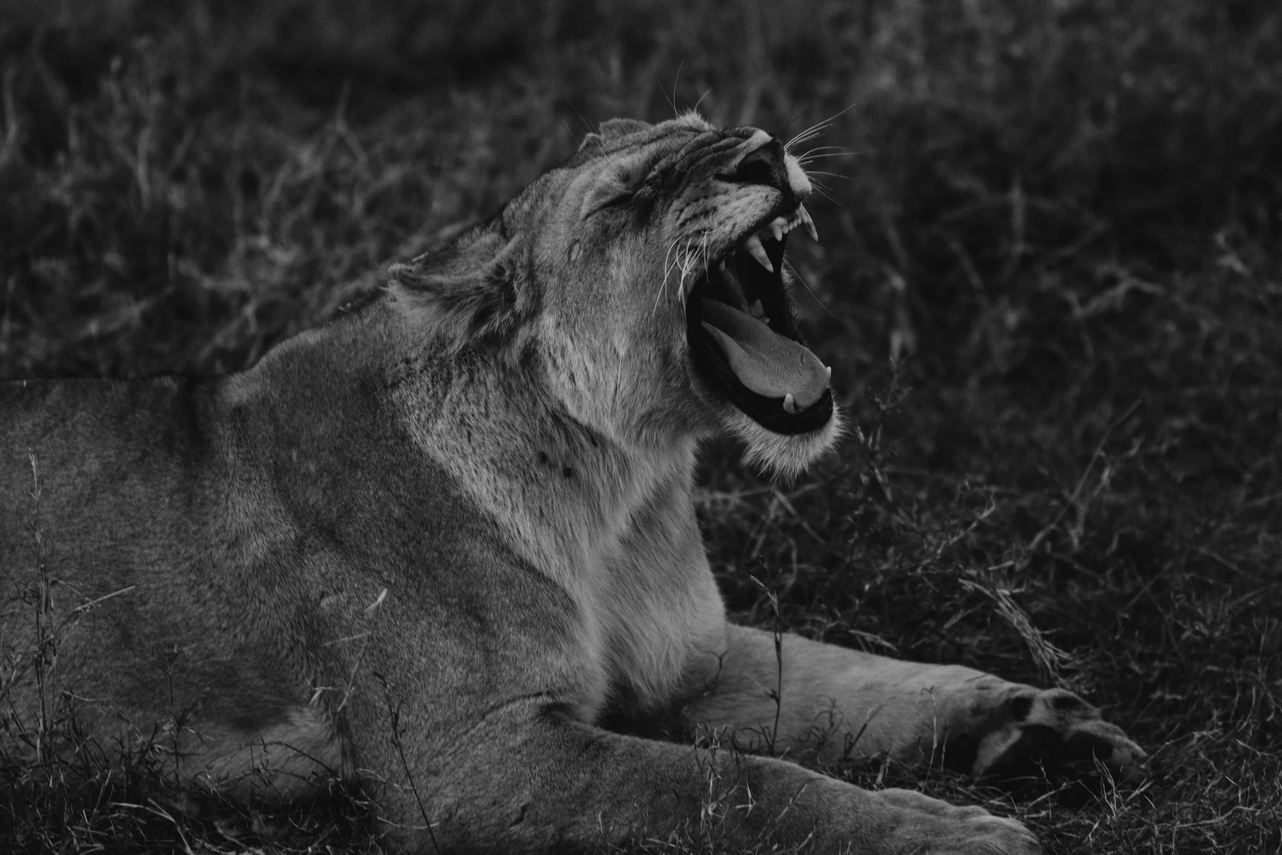 A Call to Boldness