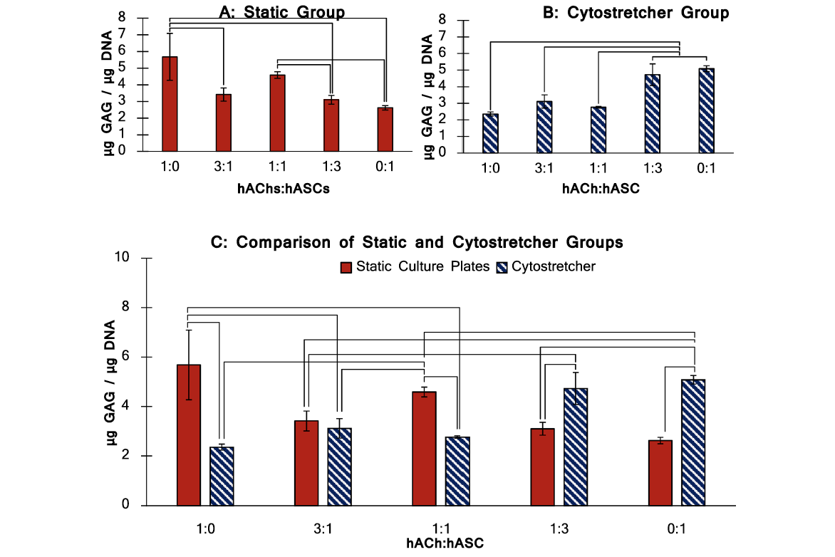 Enhanced Matrix Production by Cocultivated Human Stem Cells and Chondrocytes Under Concurrent Mechanical Strain