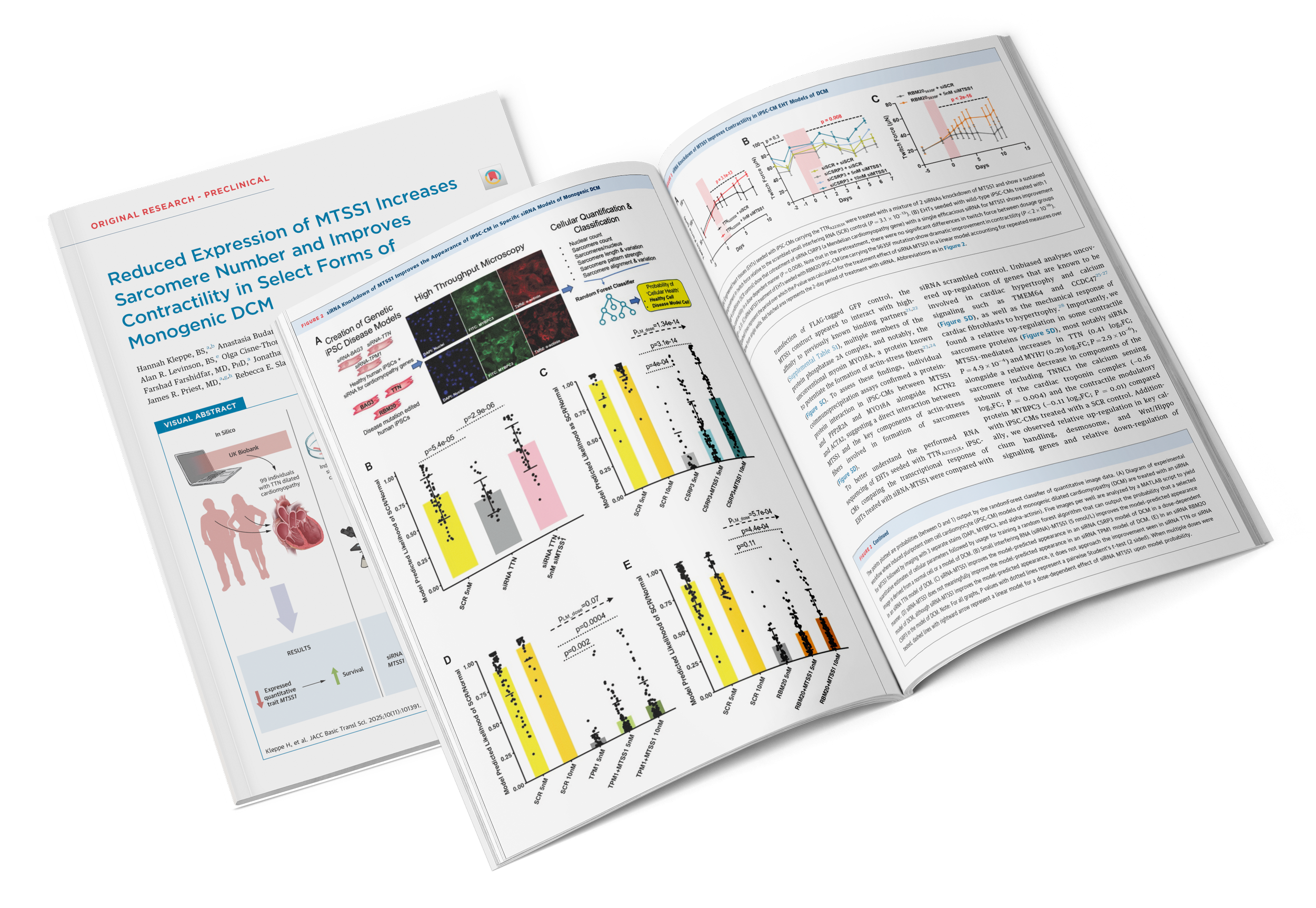 Reduced Expression of MTSS1 Increases Sarcomere Number and Improves Contractility in Select Forms of Monogenic DCM
