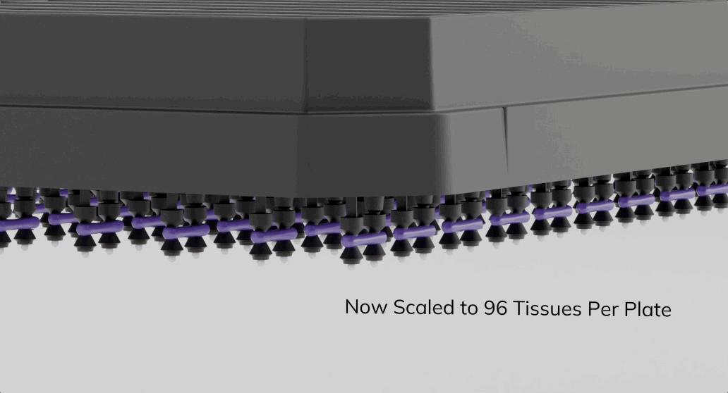Automated Tissue Casting.gif