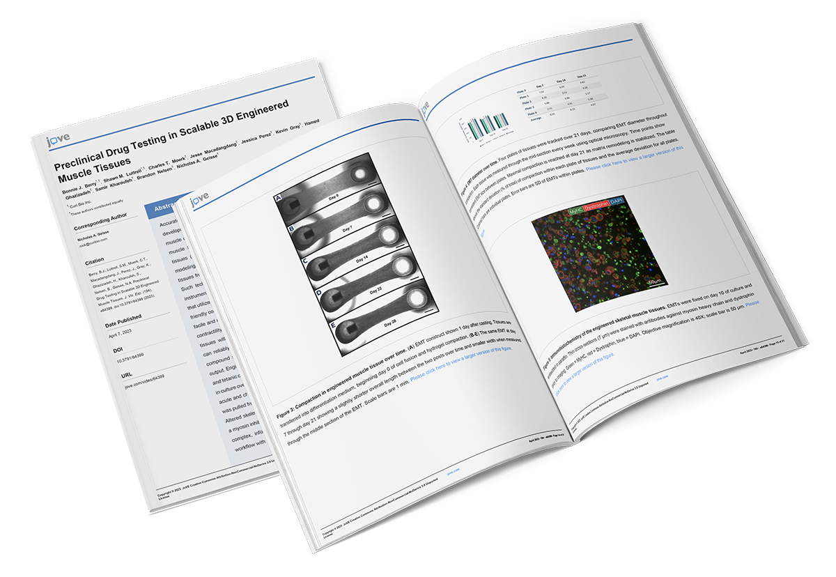 Preclinical Drug Testing in Scalable 3D Engineered Muscle Tissues