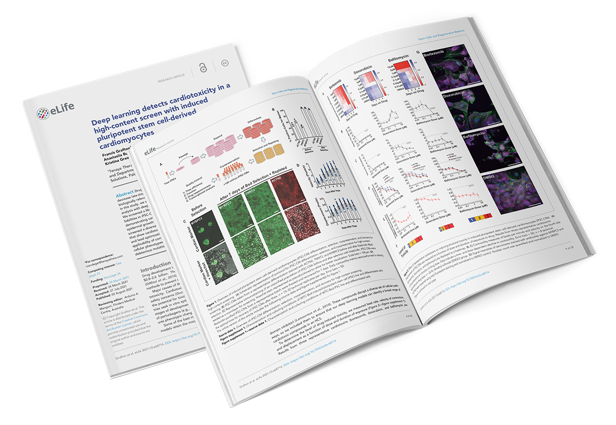 Deep learning detects cardiotoxicity in a high-content screen with induced pluripotent stem cell-derived cardiomyocytes