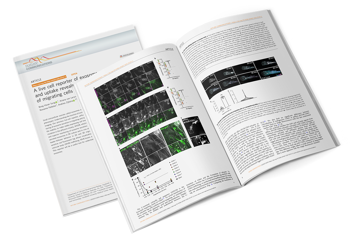 A Live Cell Reporter of Exosome Secretion and Uptake Reveals Pathfinding Behavior of Migrating Cells
