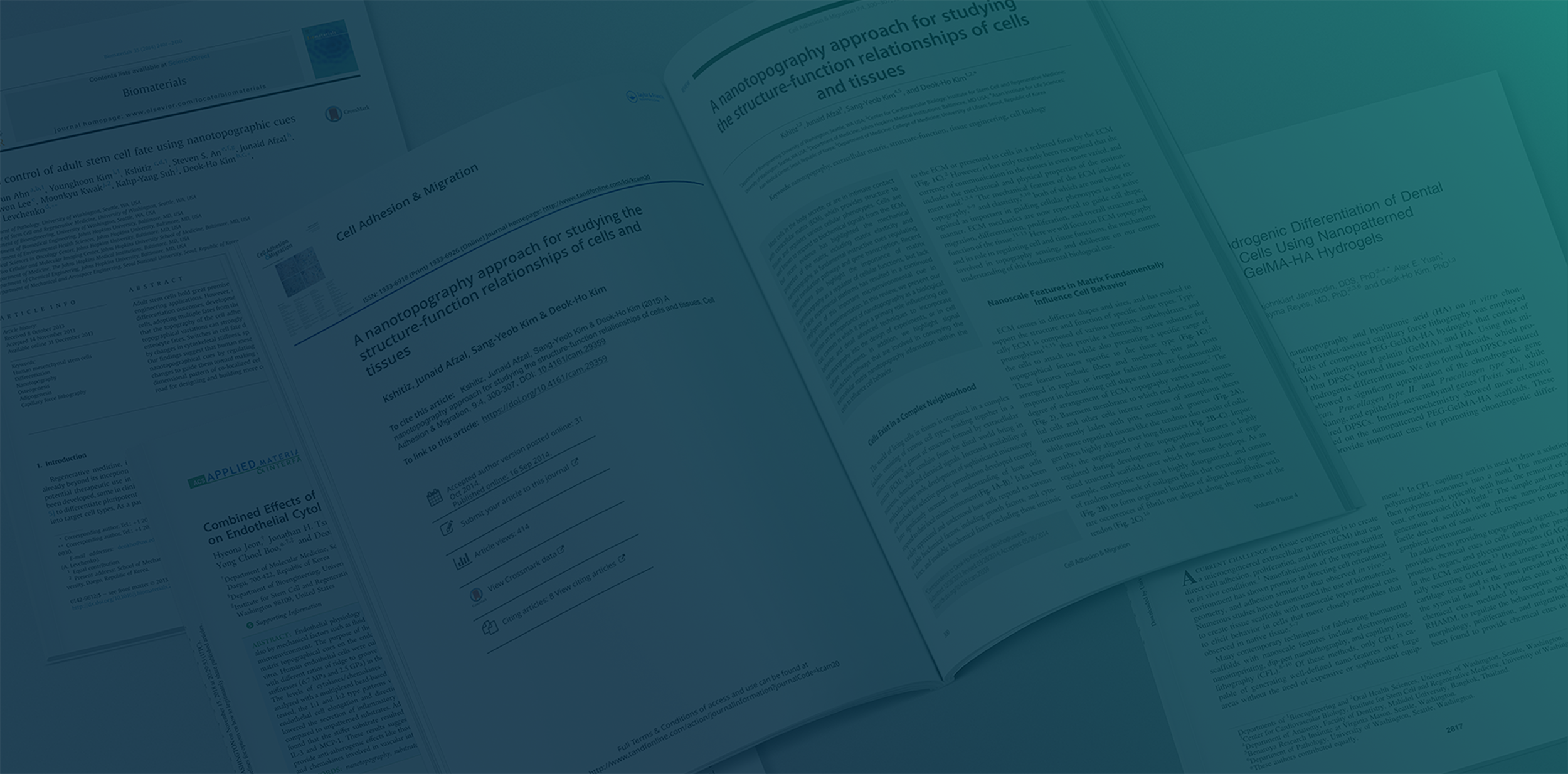 publications-gradient.png