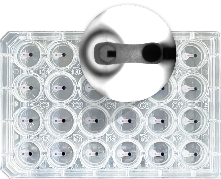 Mantarray Mini Plates — Curi Bio