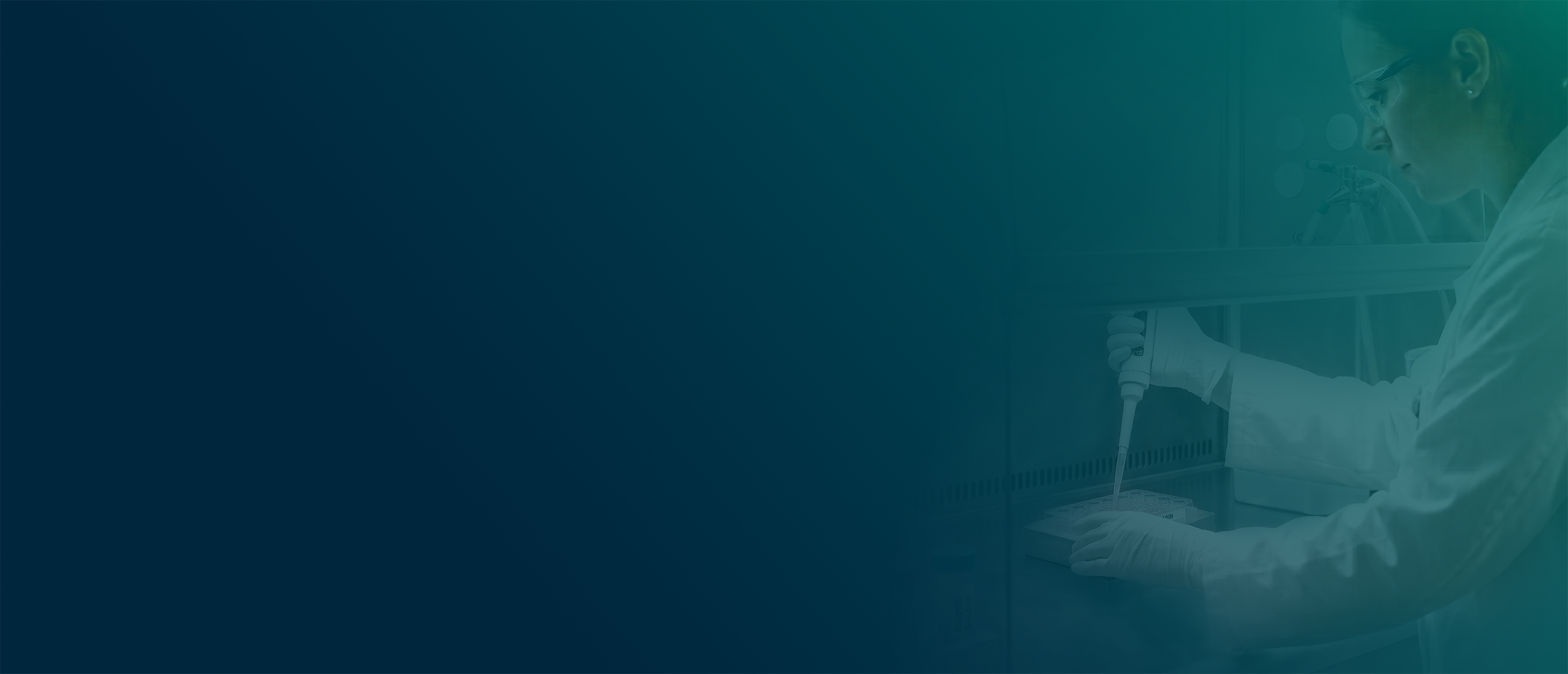 services_banner-2.png