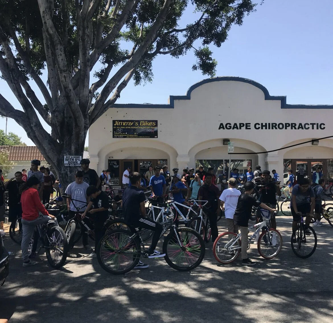 About 3 — Jimmy's Bikes