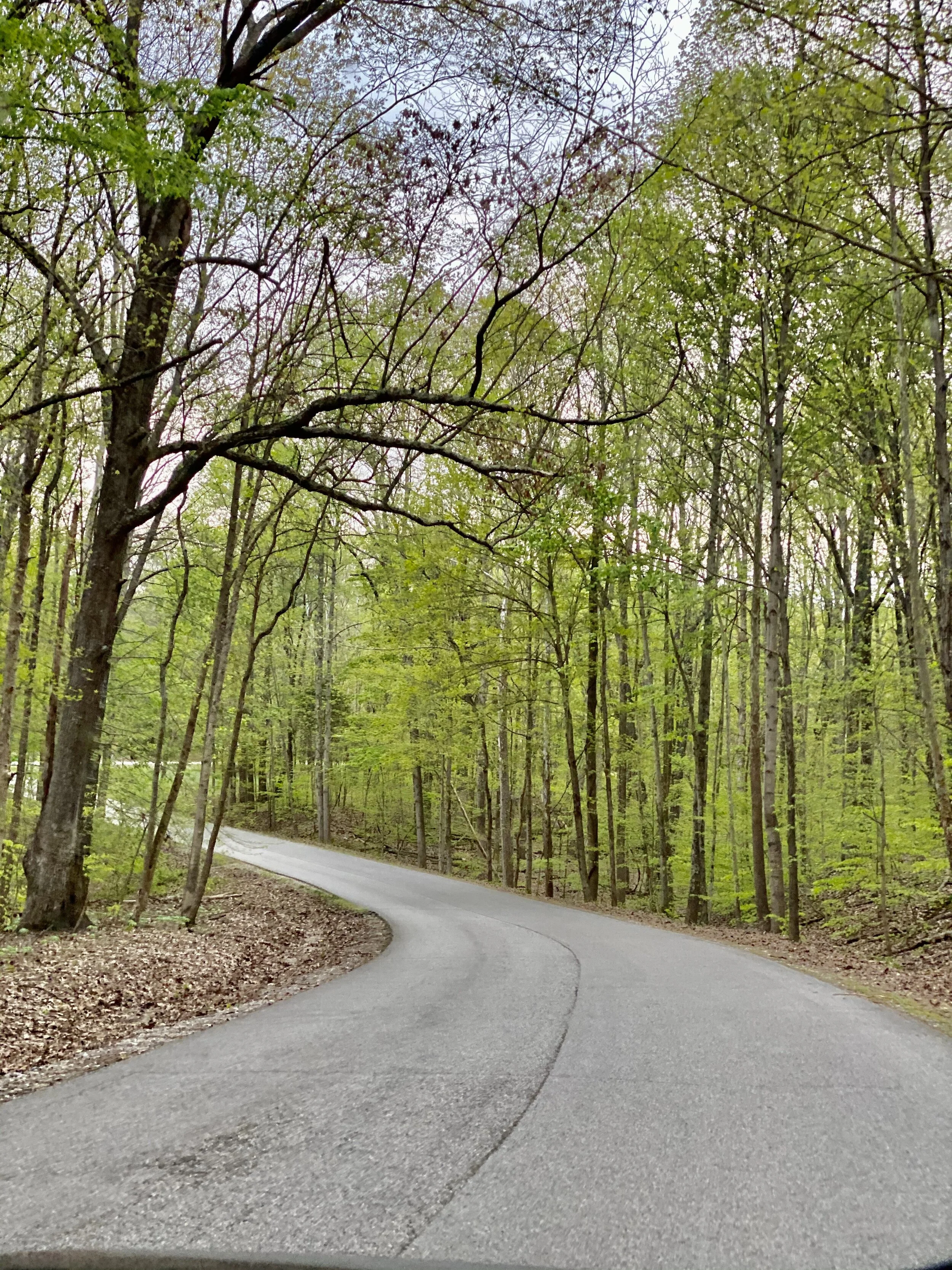 I feel naked. I think I like it