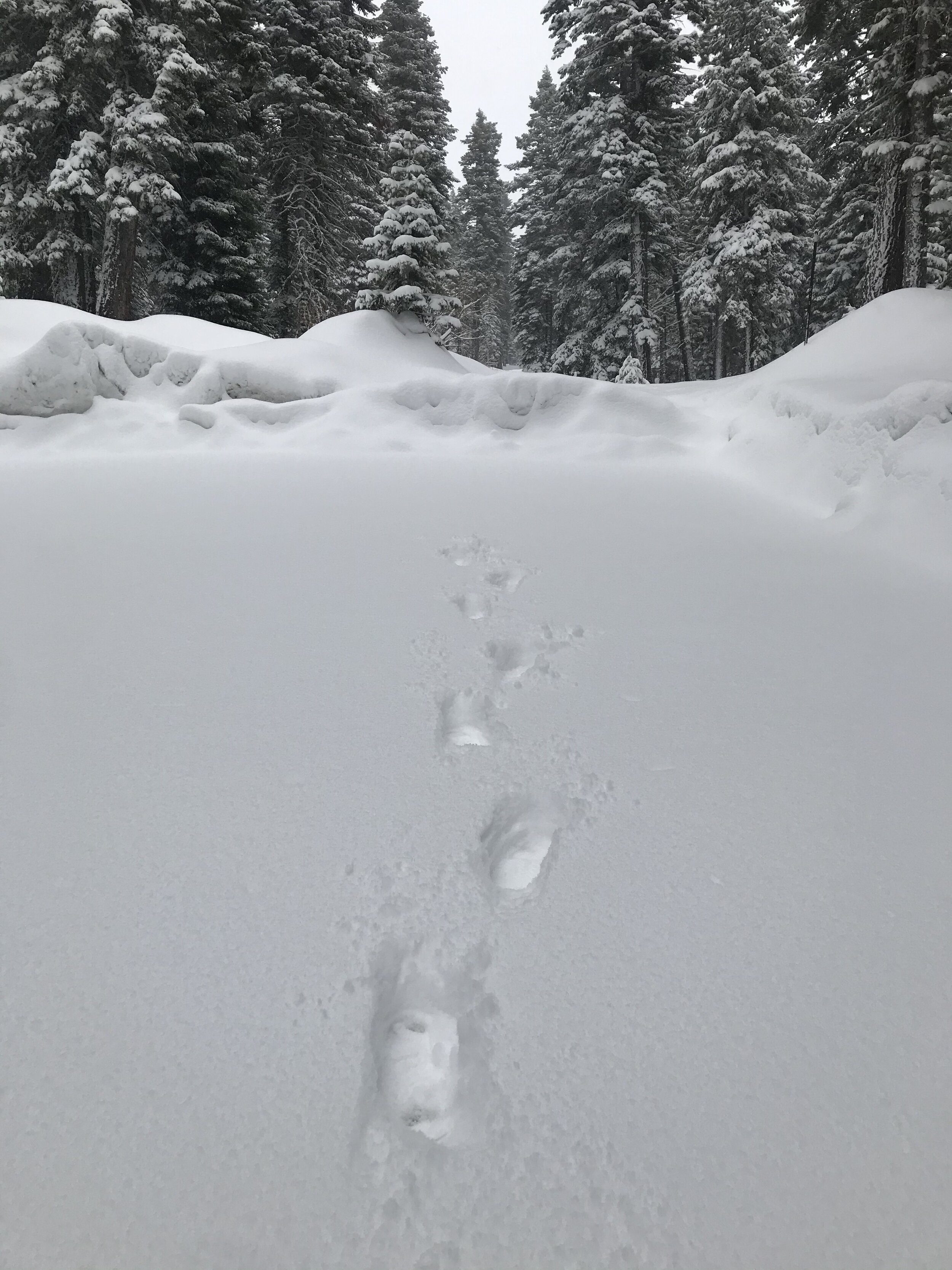 what footprints will you leave on earth…