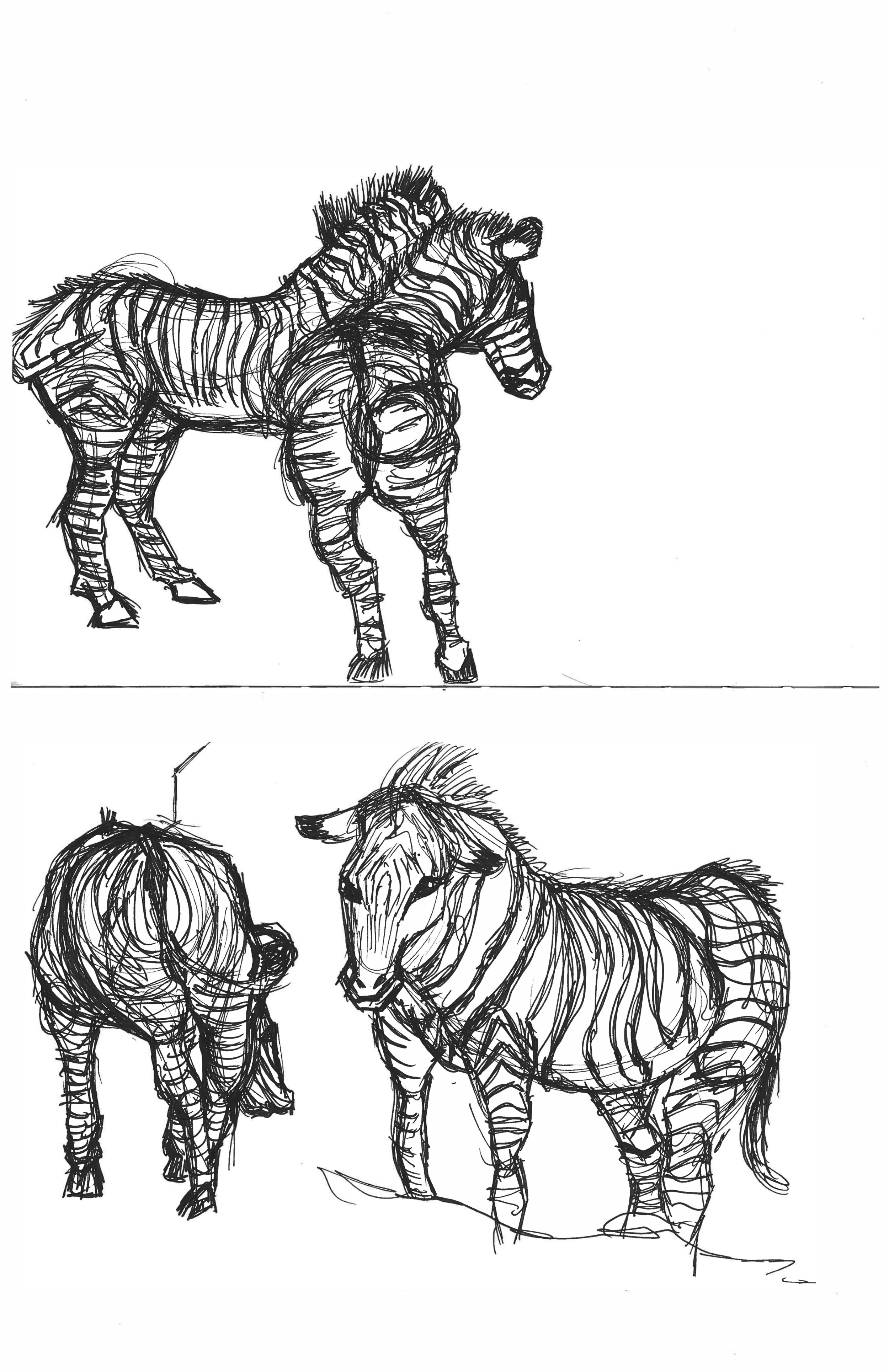zebras.png