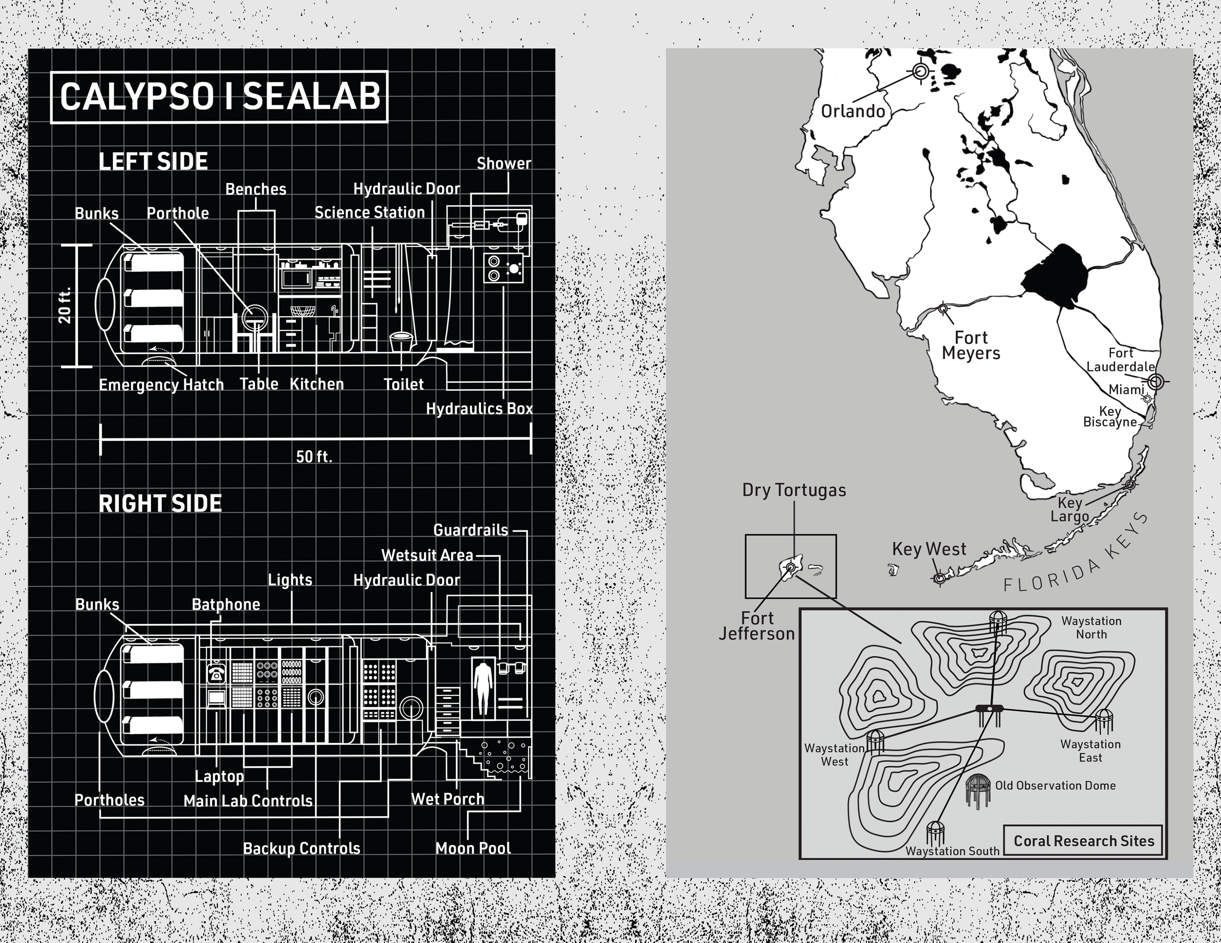 CalypsoDown-File for Website.png
