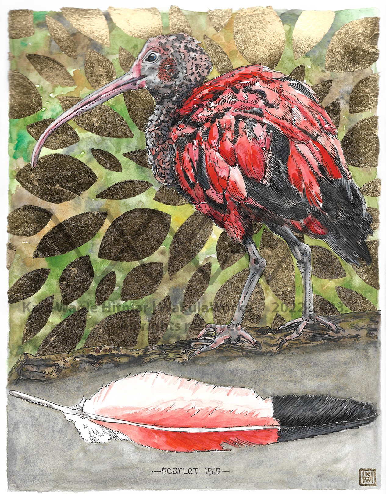 Scarlet Ibis