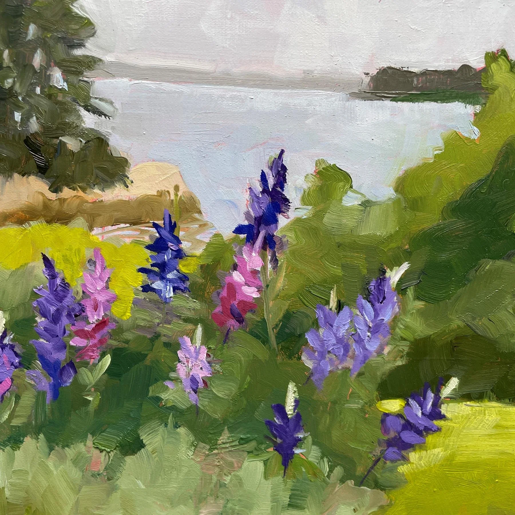 Michele Champion-'Summer Bloom'