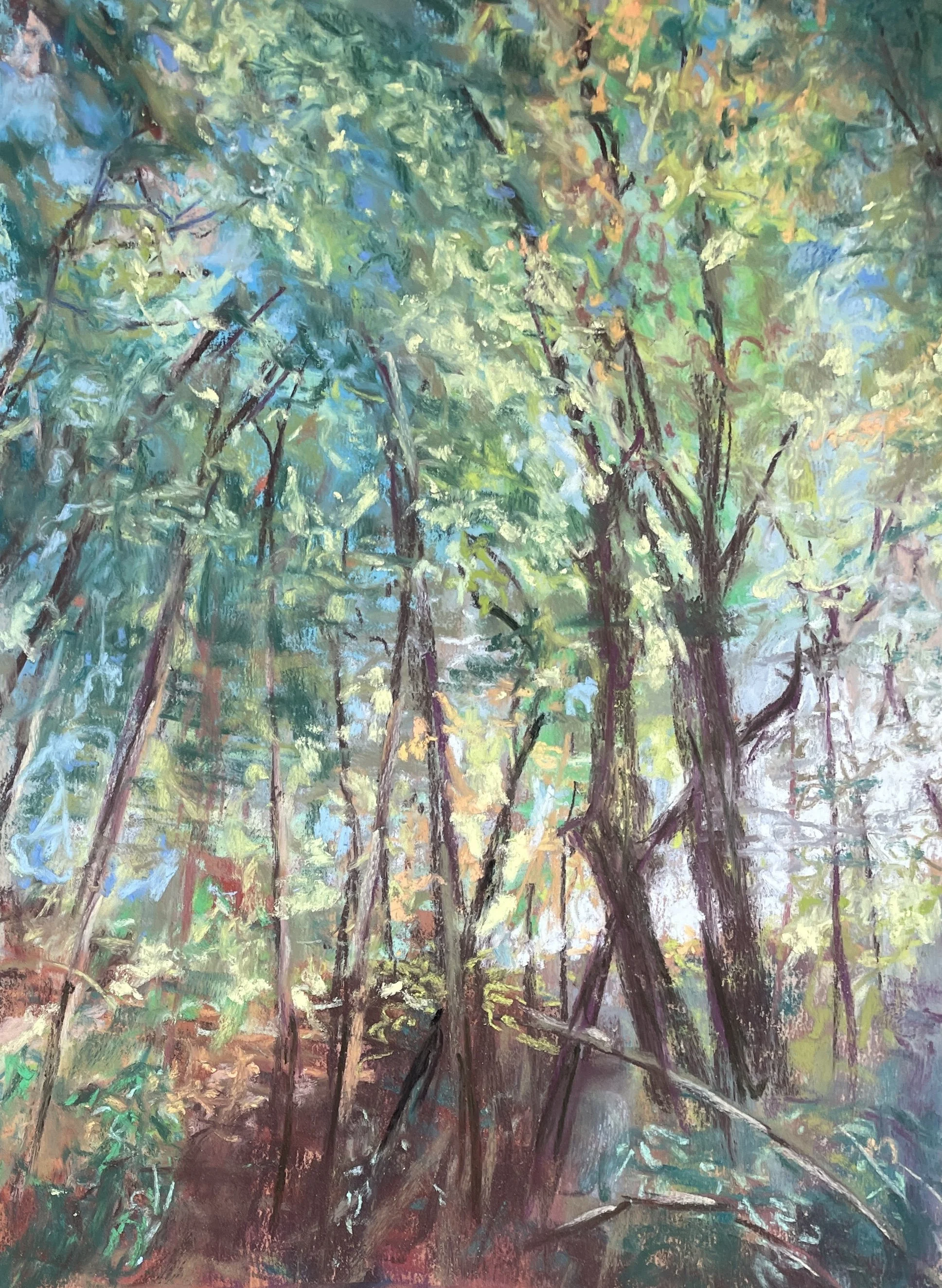 R.D. Murphy-‘Zipline’