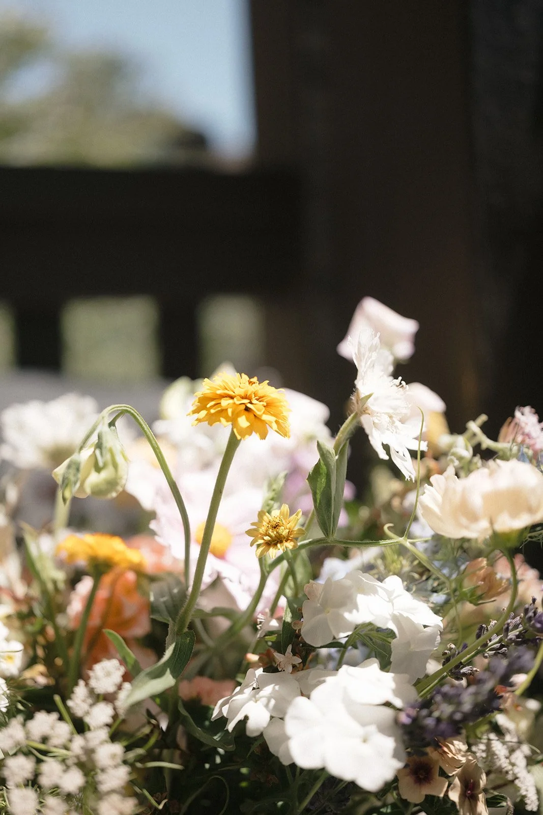 wedding-0002.jpg