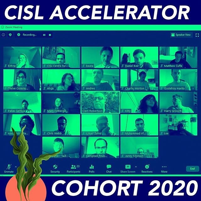 Blistr is proud to join the first cohort of the #innovatorsforchange accelerator from Cambridge Institute for Sustainability Leadership (CISL)! #Blistr #BlistrSeaweed #BlisterPack #Innovation #Sustainability #CircularEconomy #NoPlastic #NoPlanetB #Sa