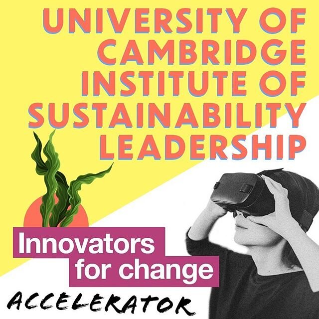 Blistr is proud to join the first cohort of the #innovatorsforchange accelerator from Cambridge Institute for Sustainability Leadership (CISL)! #Blistr #BlistrSeaweed #BlisterPack #Innovation #Sustainability #CircularEconomy #NoPlastic #NoPlanetB #Sa