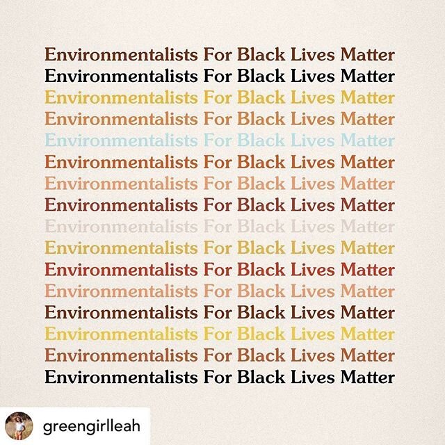 Posted @withregram &bull; @greengirlleah Social justice cannot wait. It is not an optional &ldquo;add-on&rdquo; to environmentalism. It is unfair to opt in and out of caring about racial injustices when many of us cannot. These injustices are happeni