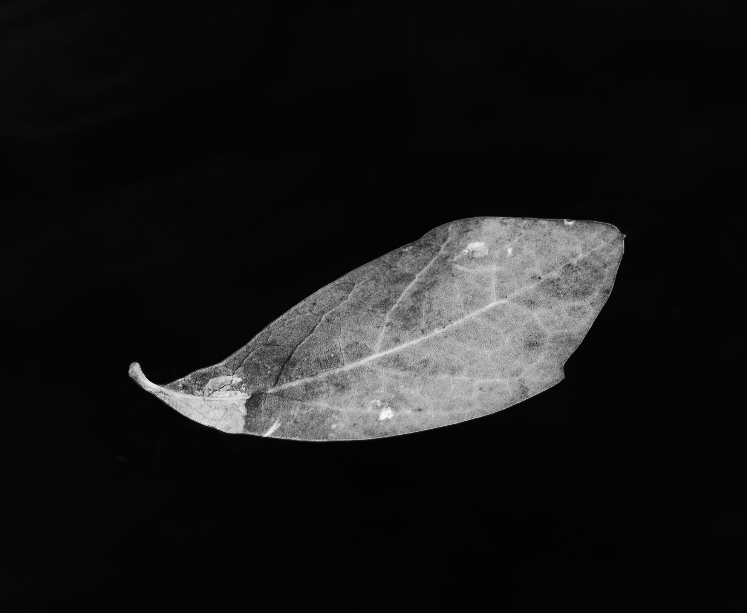 DSC_0456.jpg