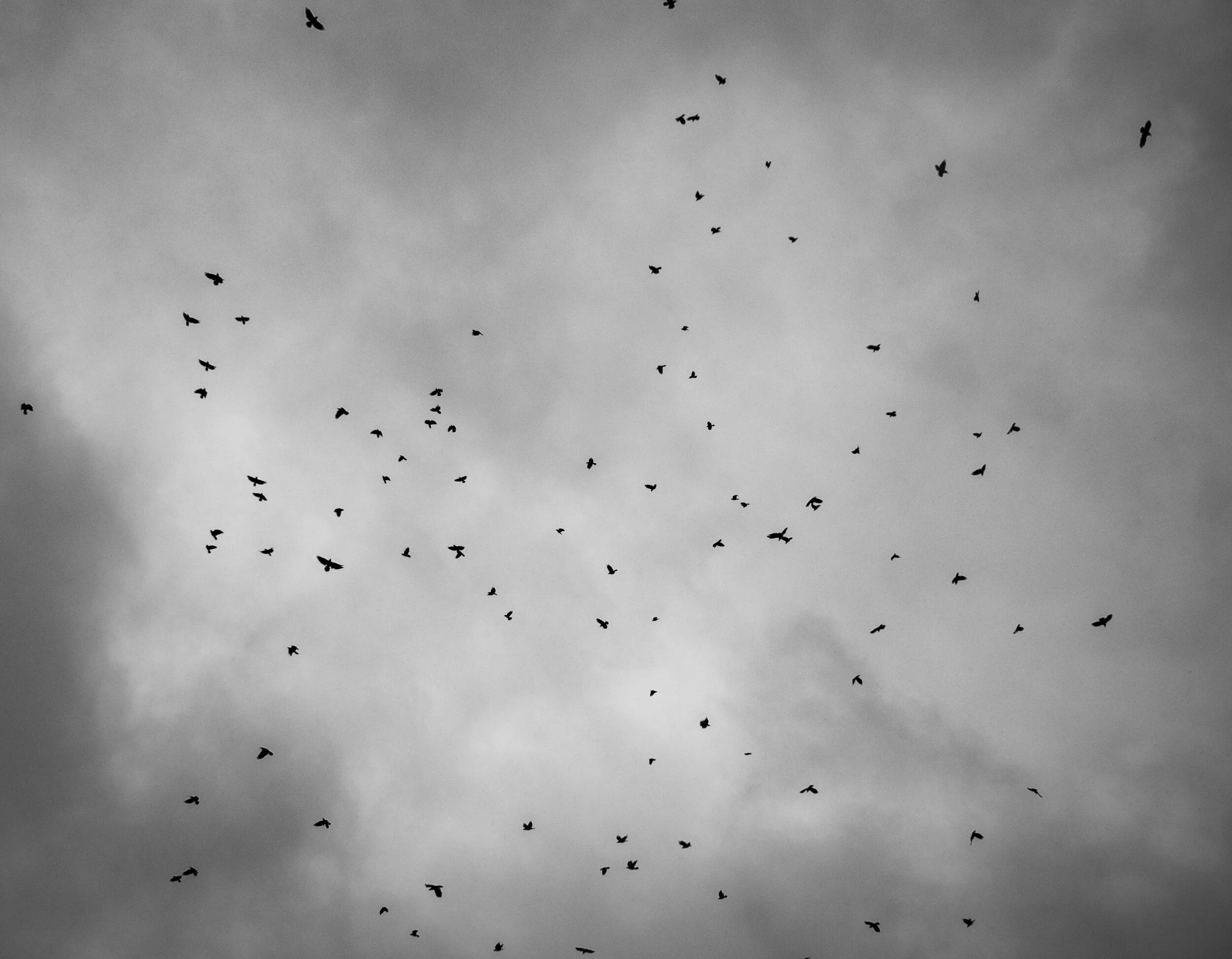 Weightless.jpg