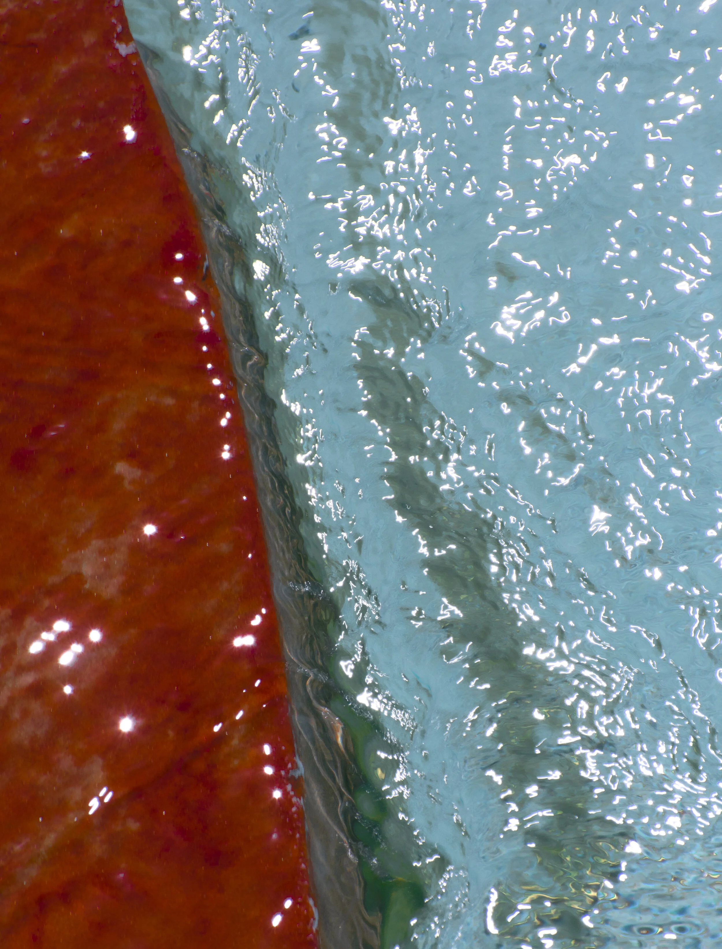 DSC_0987.jpg