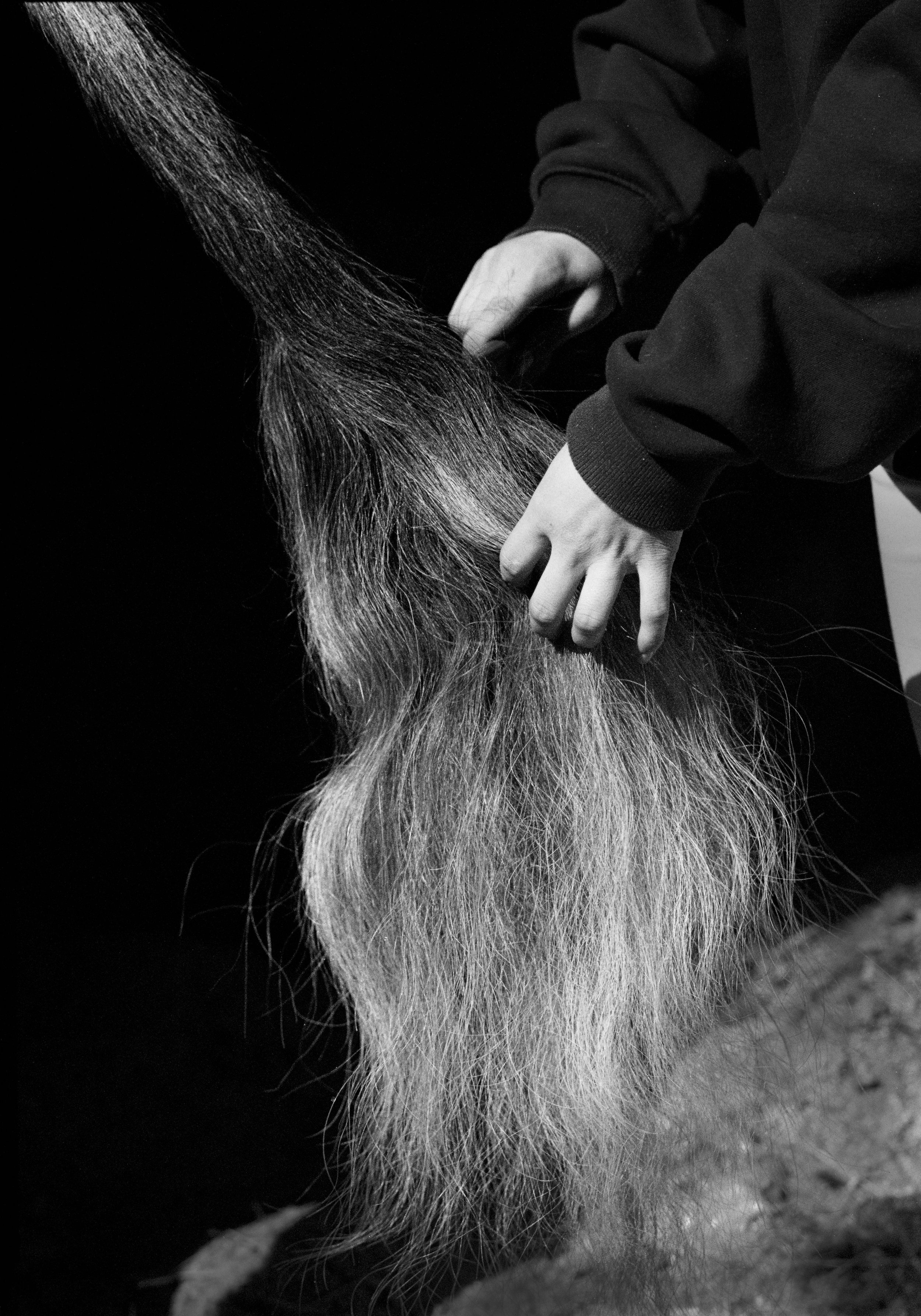 brushwebsite copy.jpg