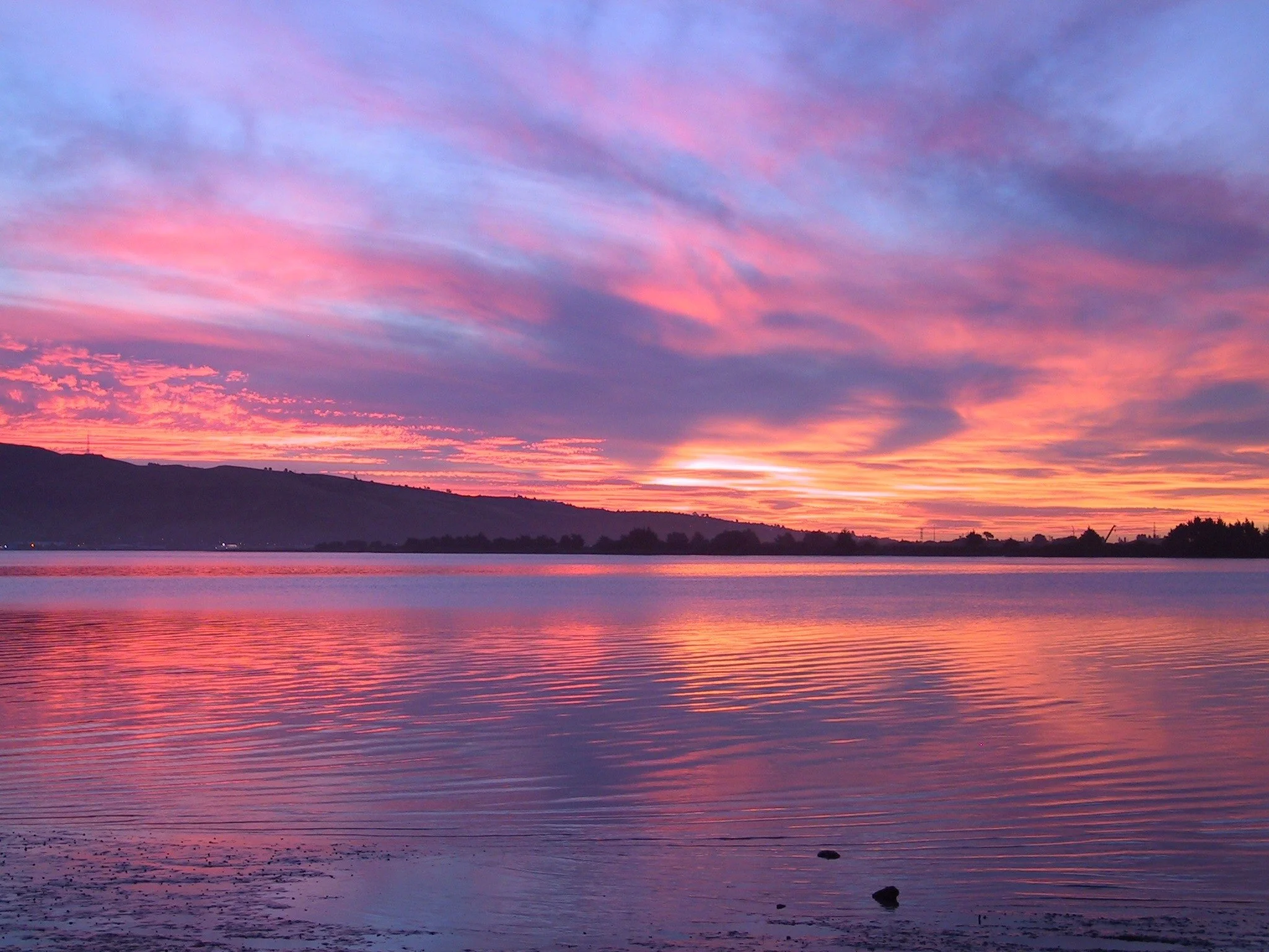sunset purple.jpg
