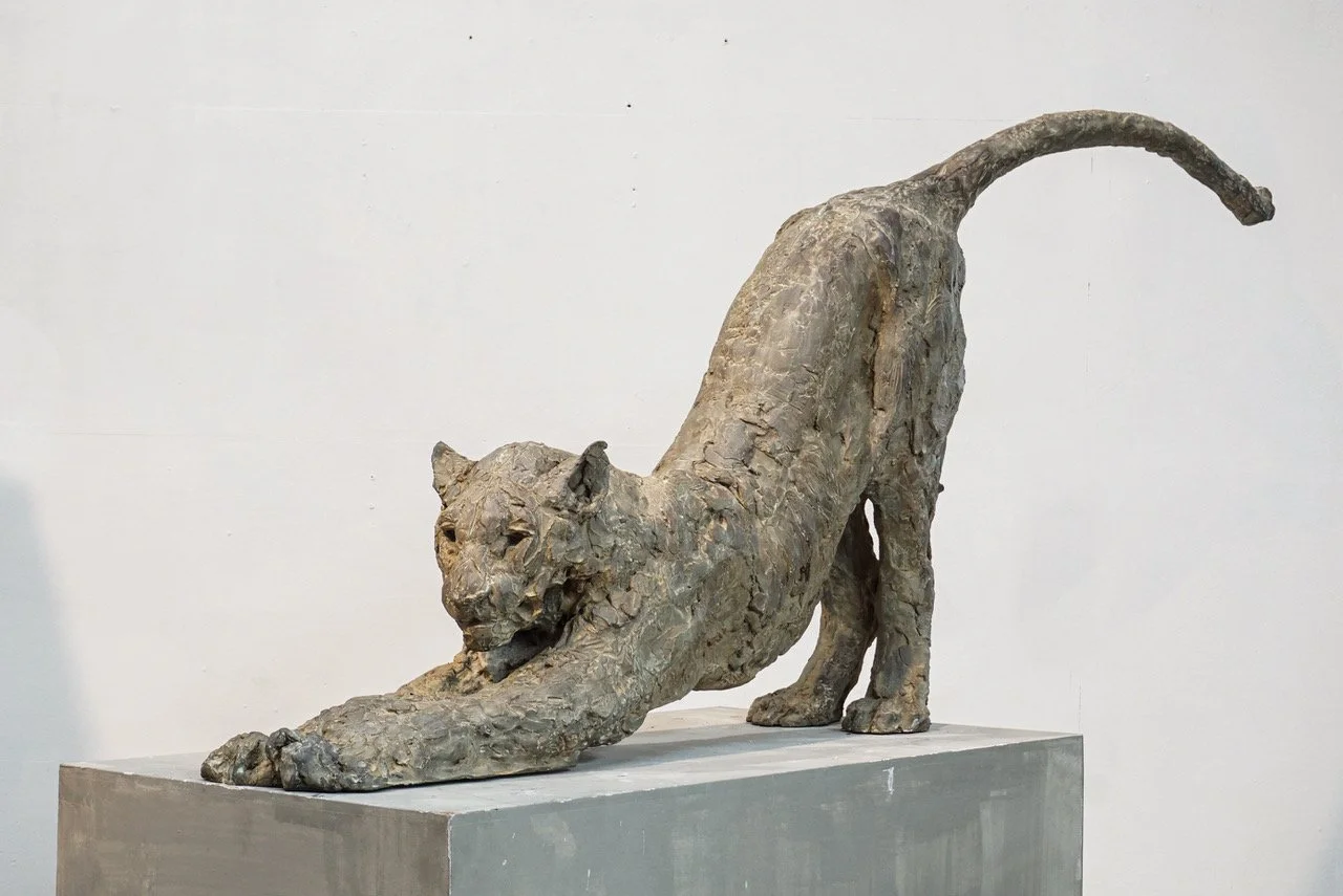 panter links half.jpeg