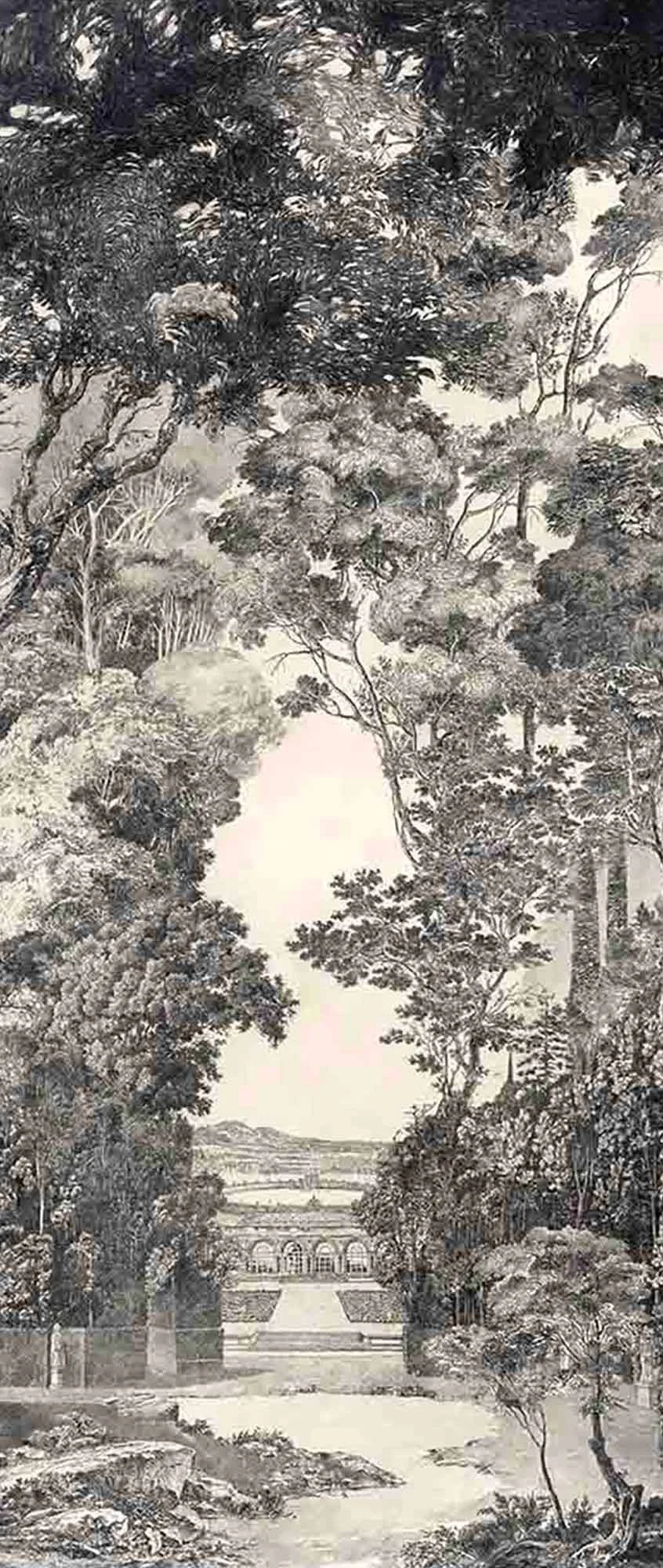 2022-BM-Le-jardin-oublié-II-web2.jpg