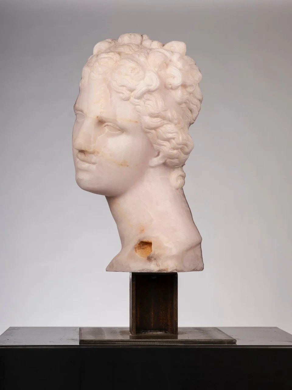 venere_de_medici_2022_03.jpeg