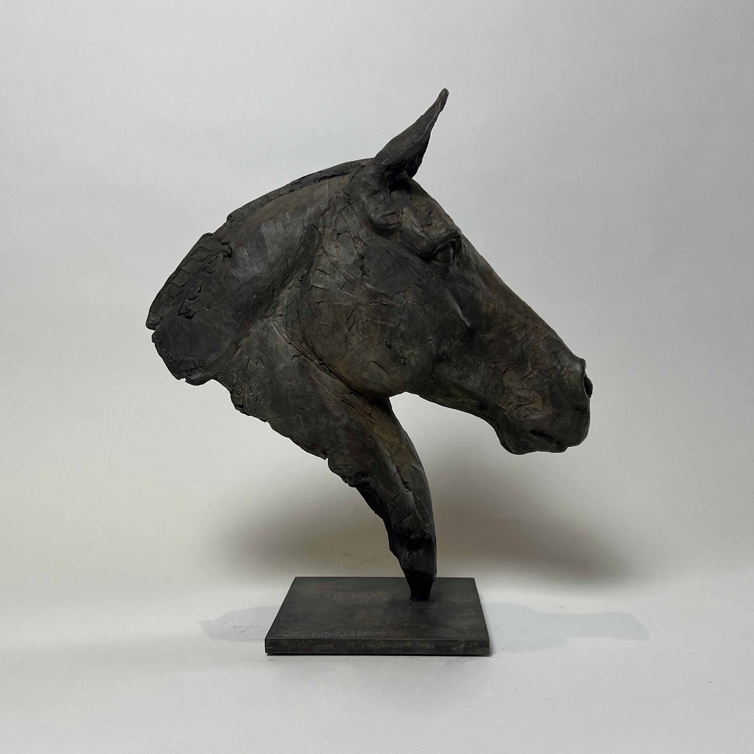 2024 CC Arion IMG_6036 web.jpg