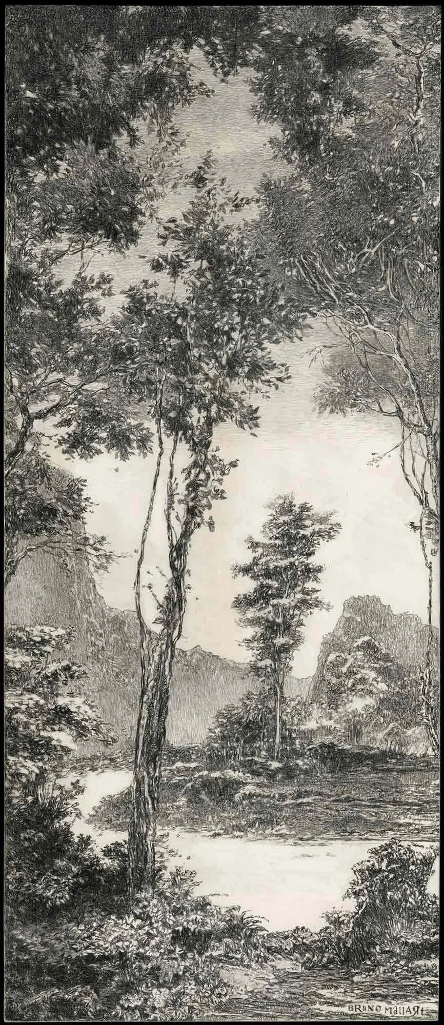 202510 BM Sur-l'ile-d'Esperanzaweb.jpg