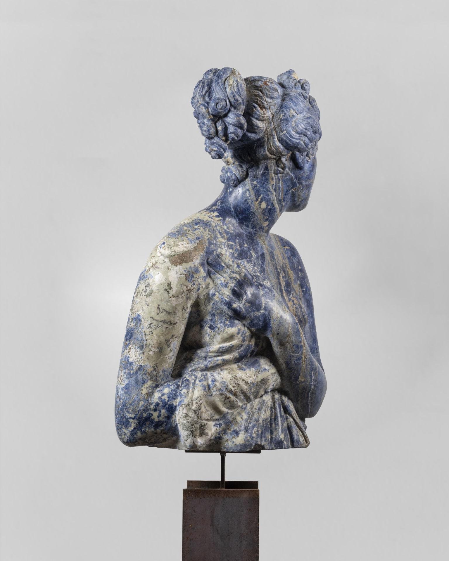 blue_venus_2025_05.jpg