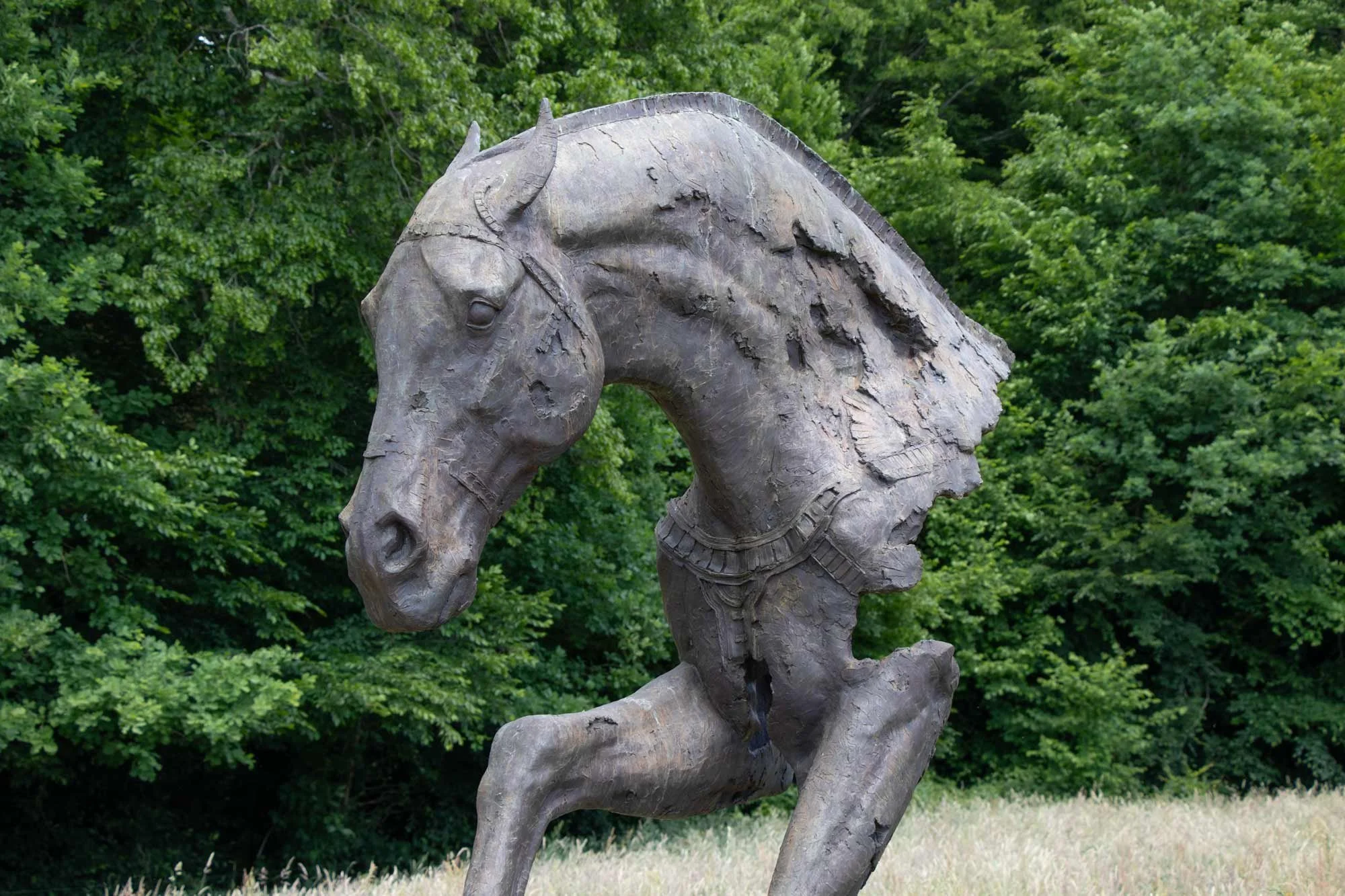 202506-CC-cheval-III-IMG_8248web.jpg