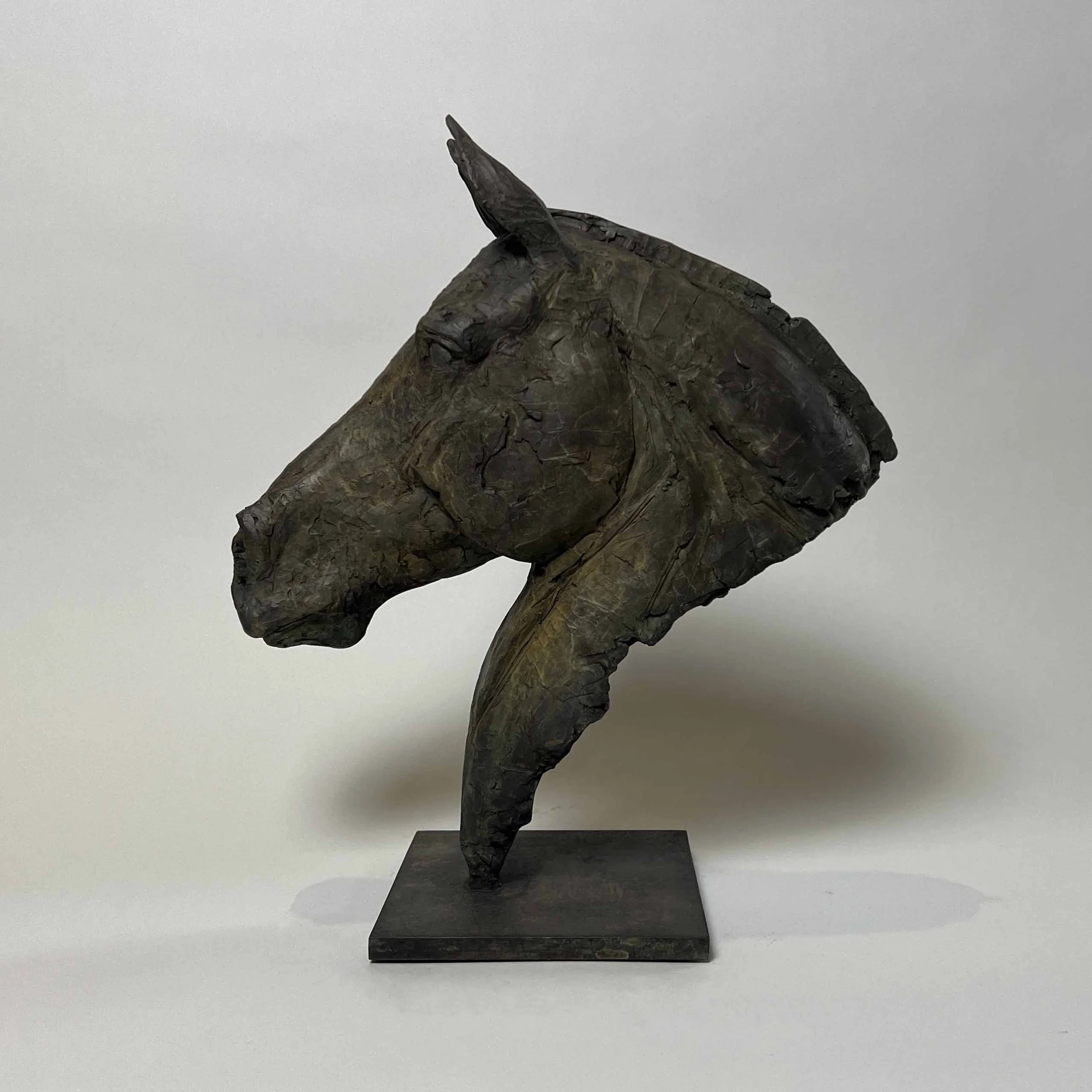 2024 CC Arion IMG_6033 web.jpg