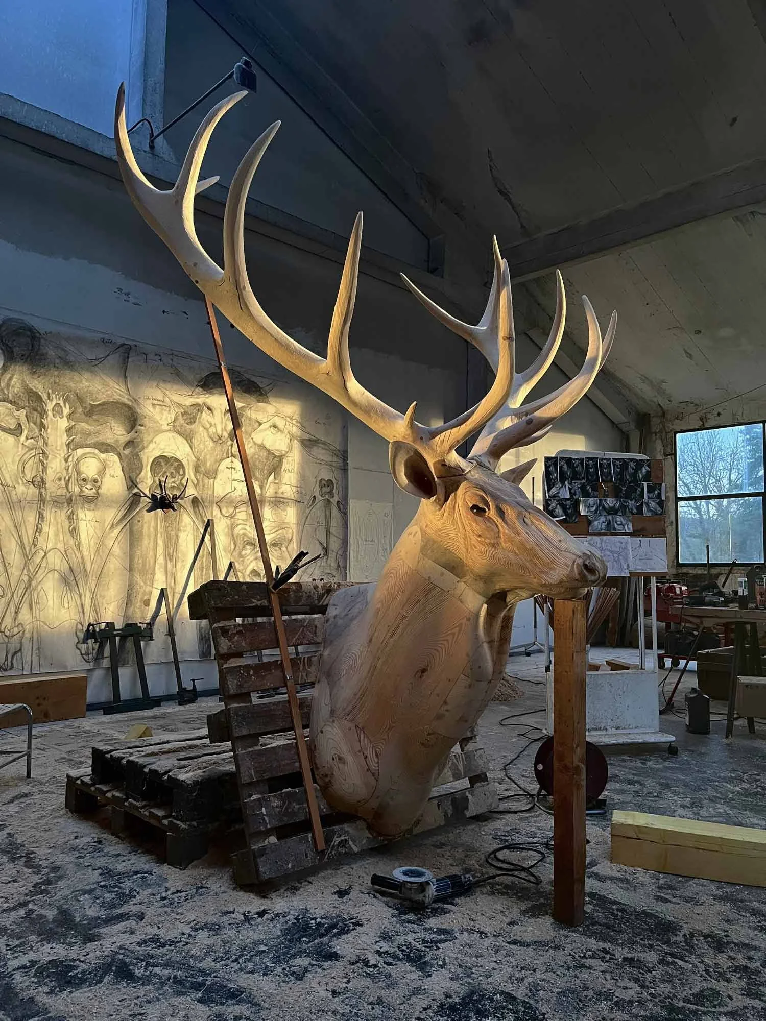 CERF,2024,work-in-progress,245x220x115cmweb.jpg