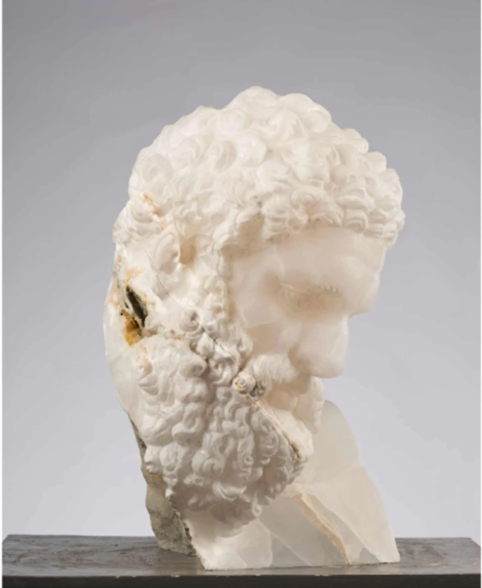 ERCOLE