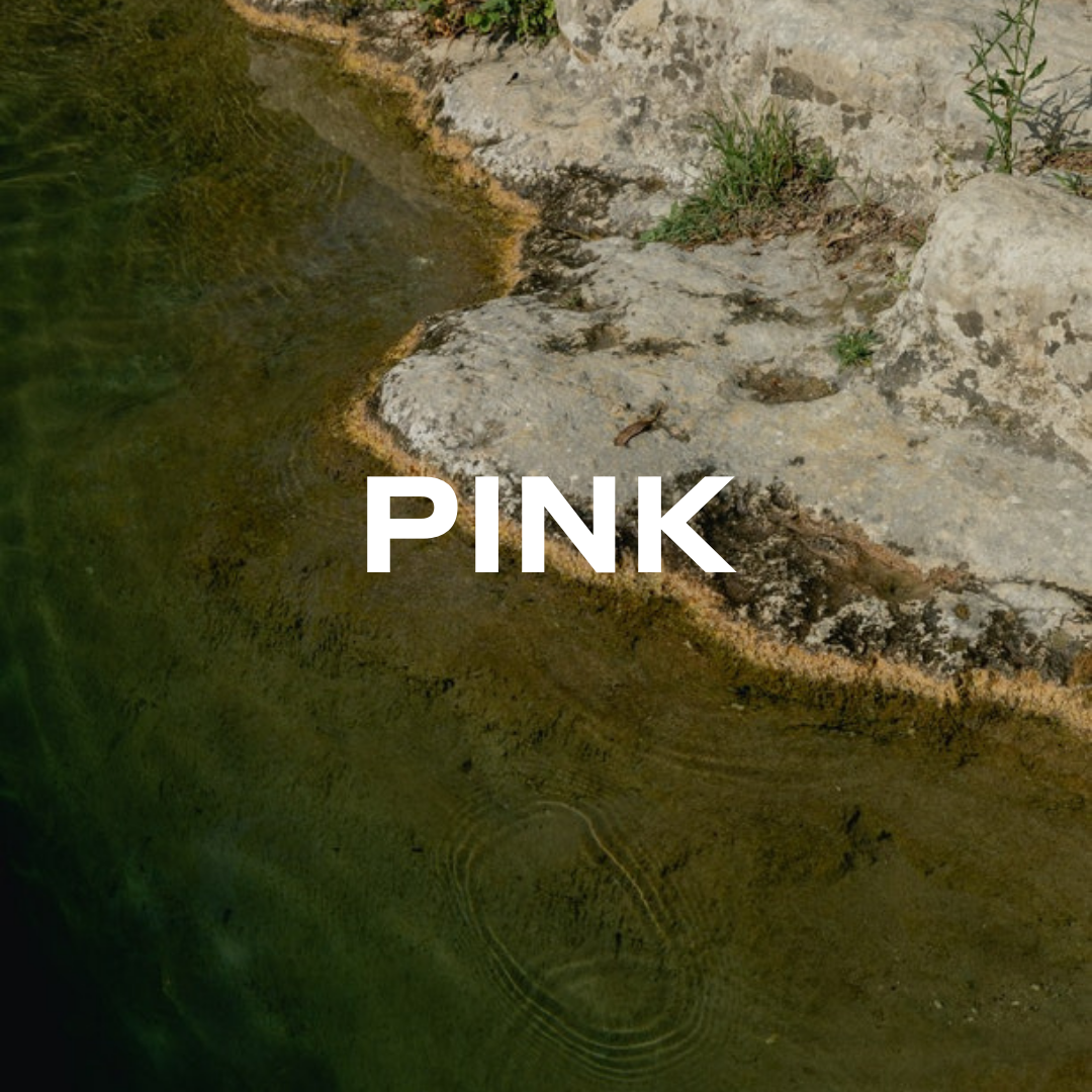 Pink Salt Ventures (1).png