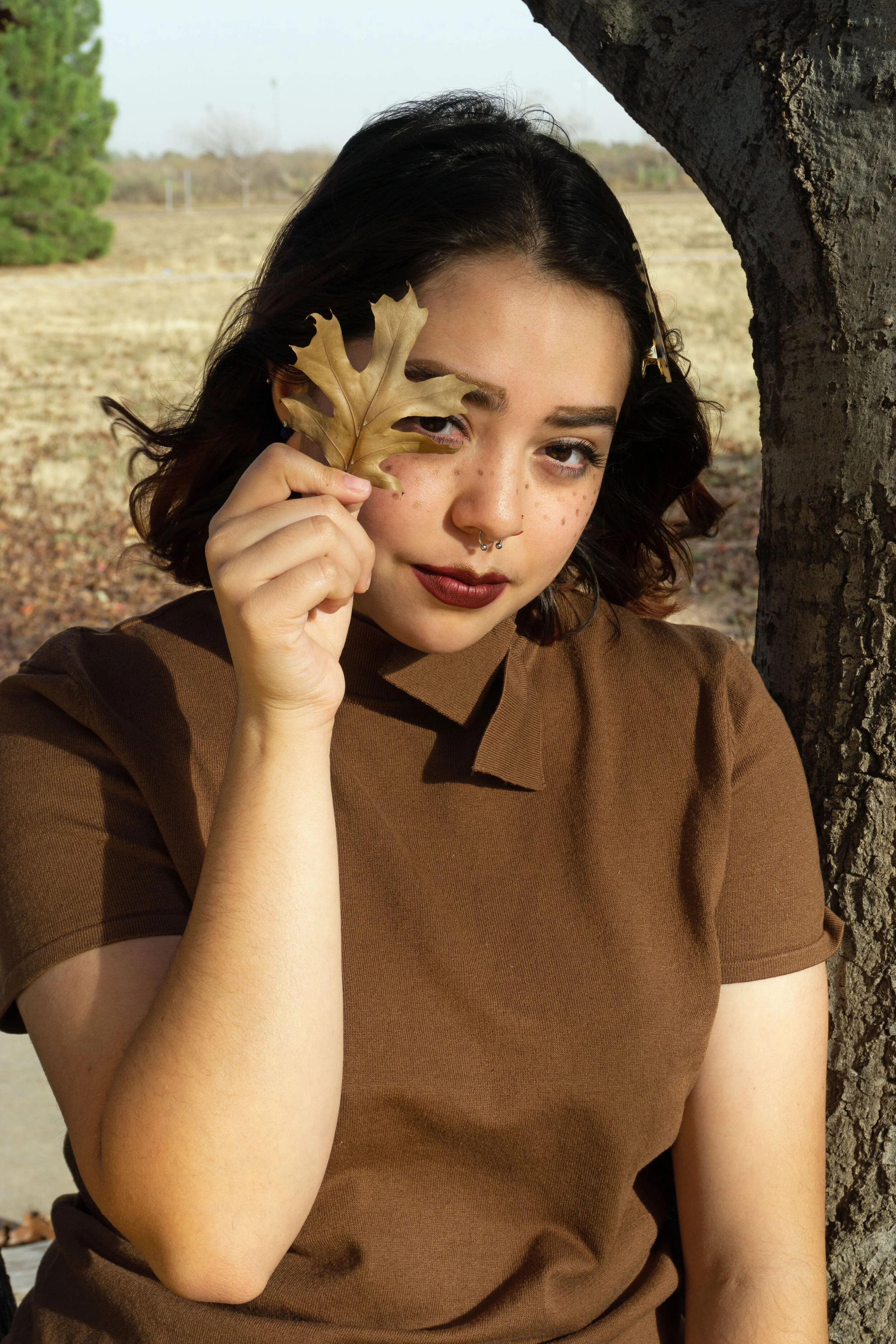 Honey, 2019
