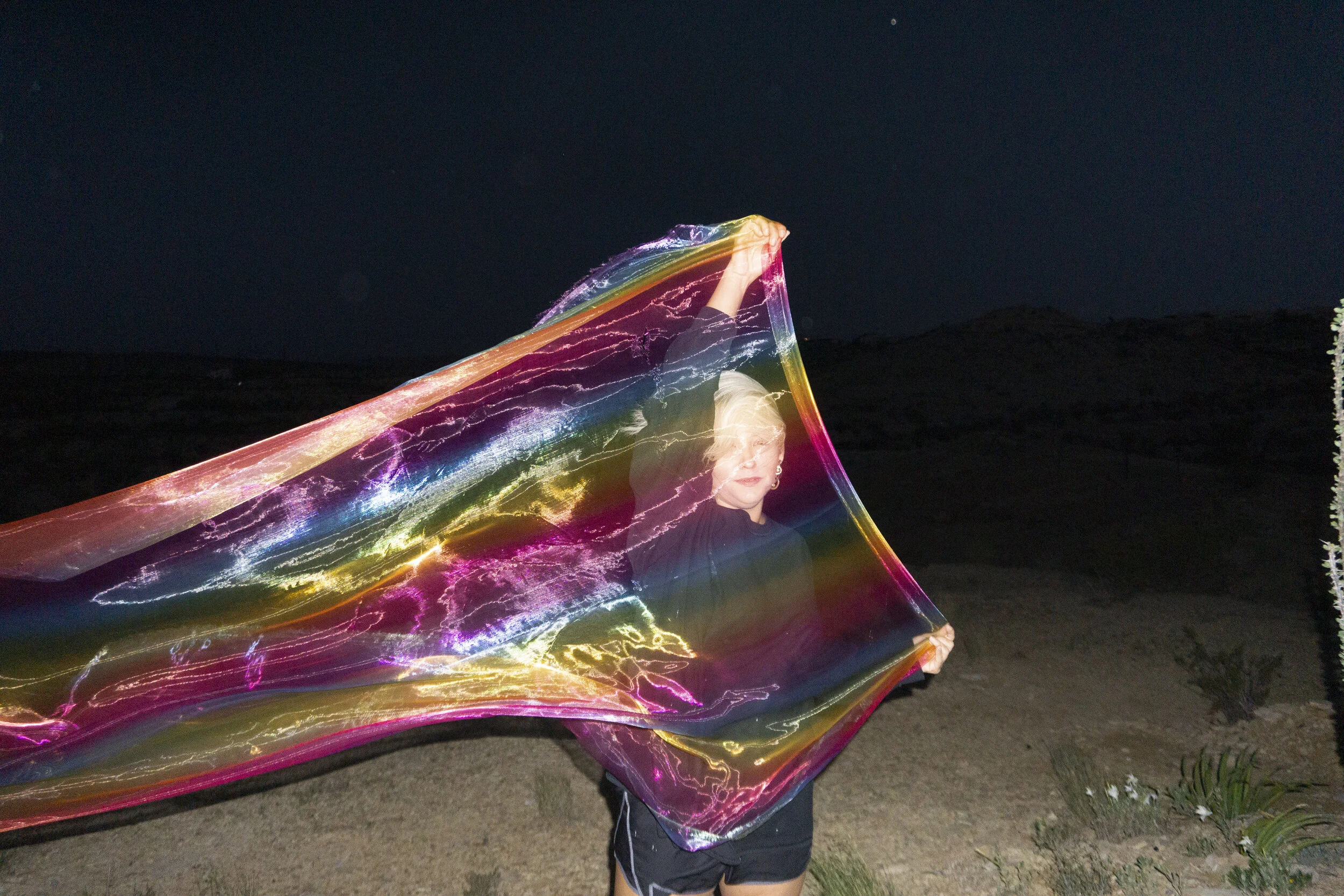 Silk Rainbow, 2019