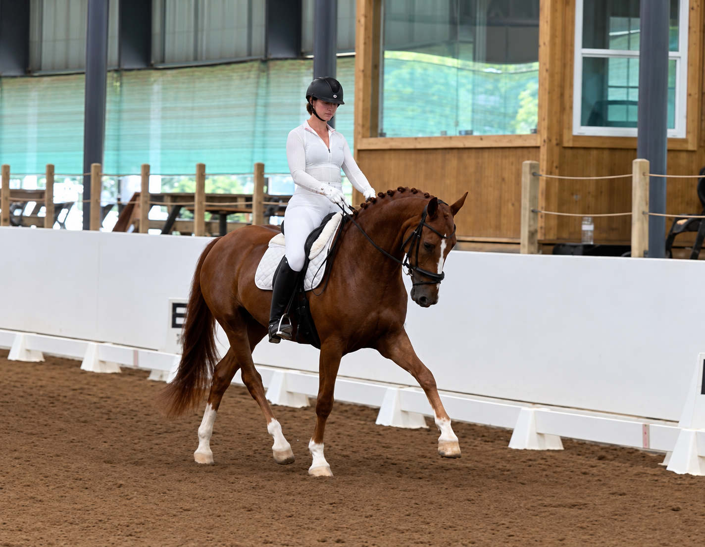 Jessica Skripol &amp; Zixten