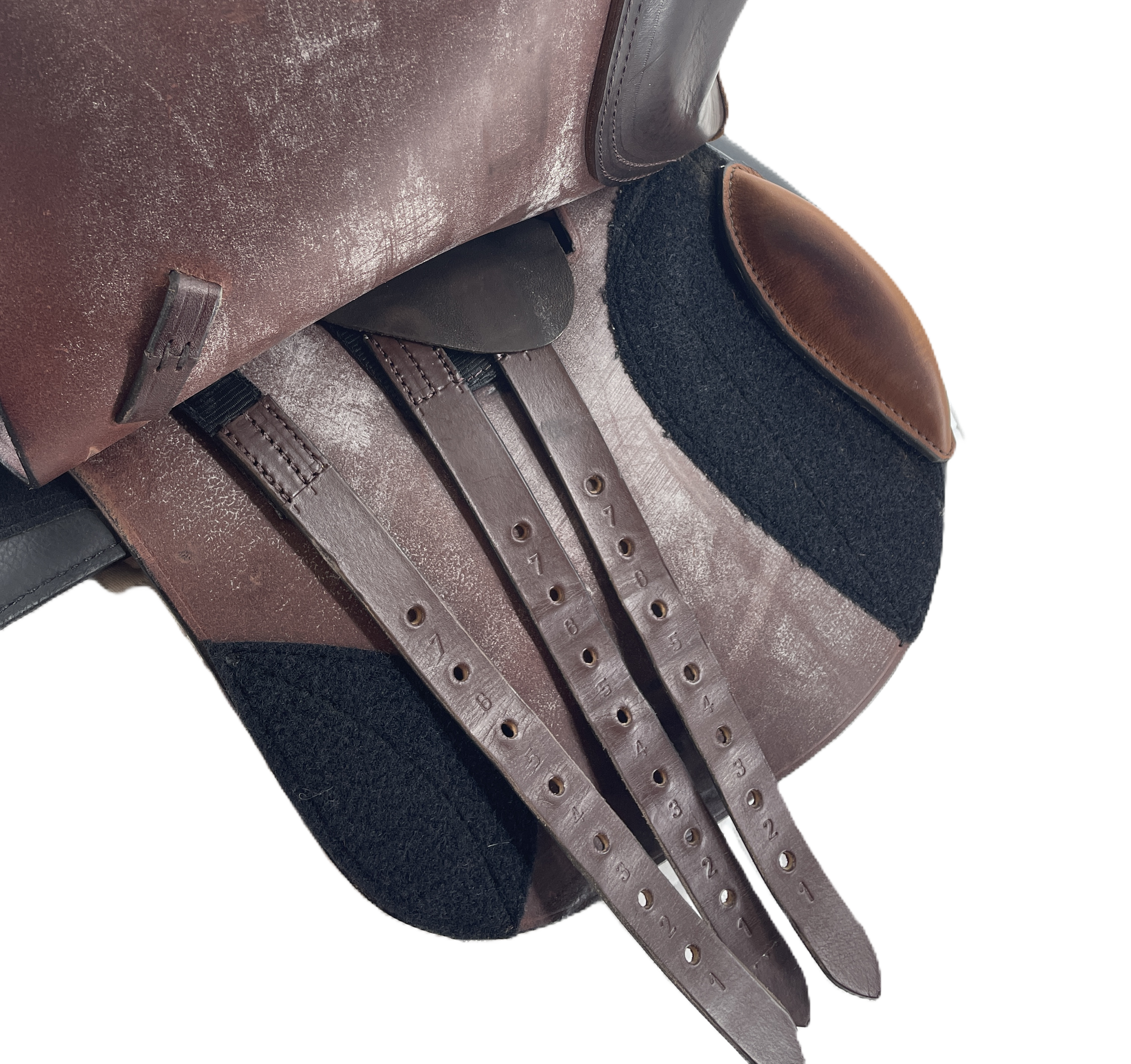 8628 knee block.png
