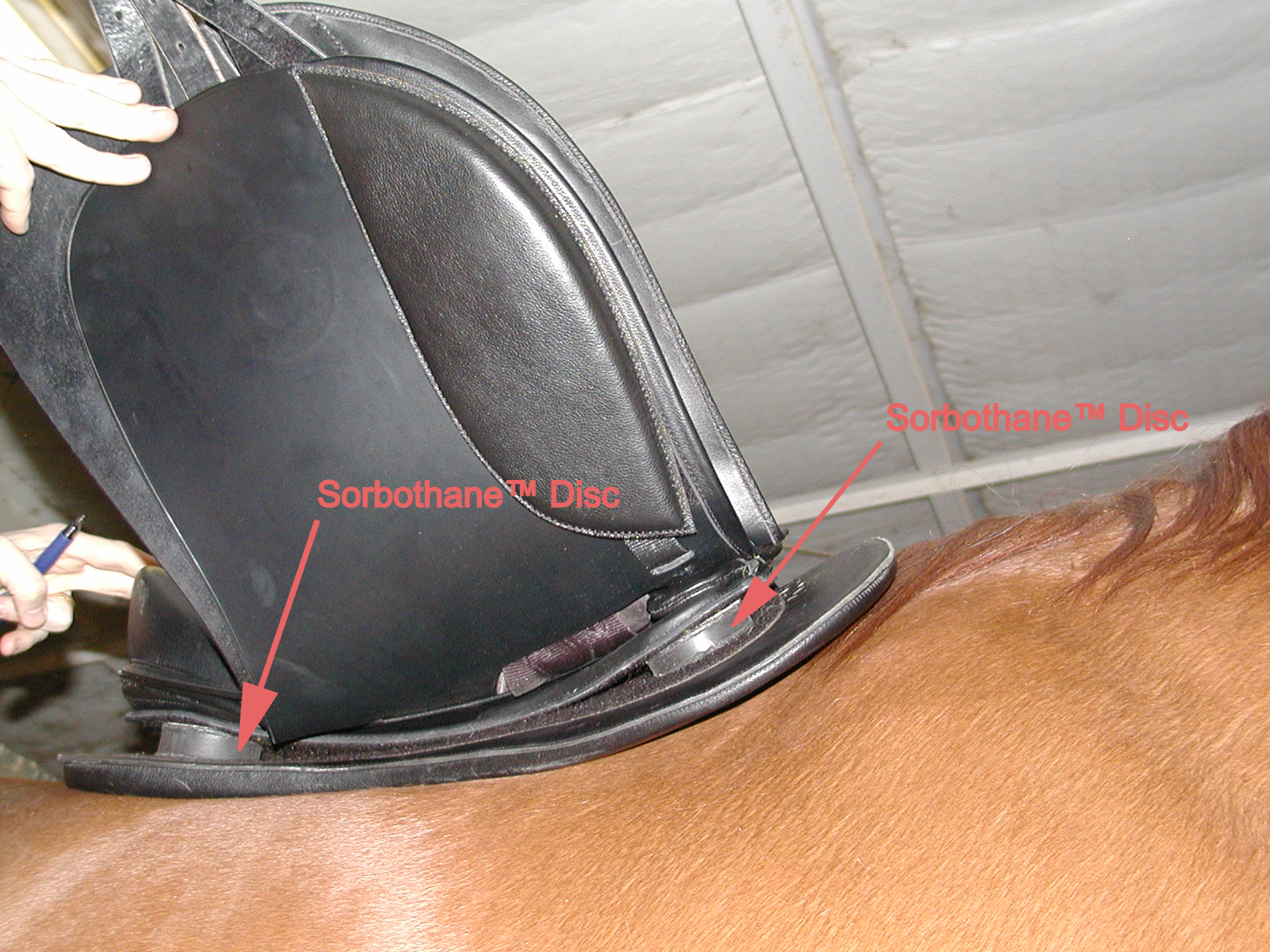 Close-up of a horse saddle fitted with Sorbothane™ Discs labeled on the seat and around the base, placed on a horse's back, with a person's hand and pen visible in the background.