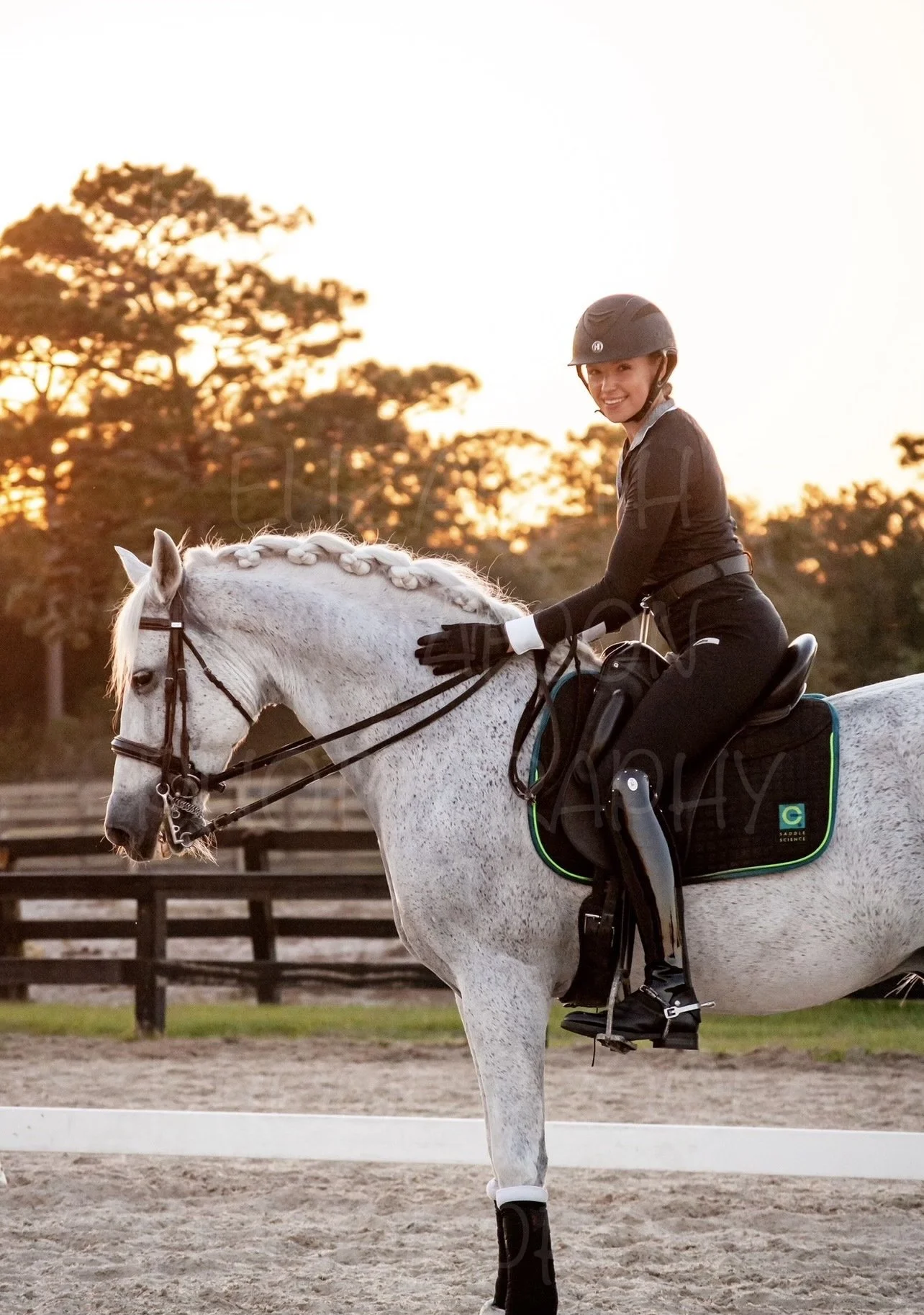 EQ Saddle Starter Pack — EQ Saddle Science