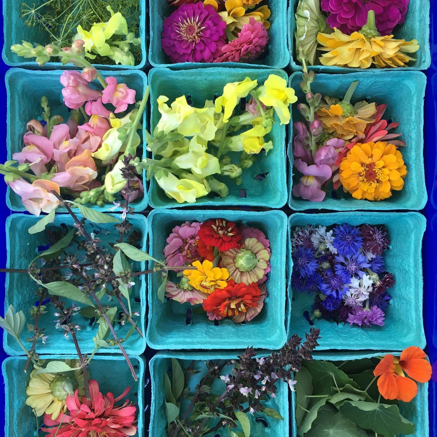 Check out this week&rsquo;s GORGEOUS edible flower mix of snapdragons, zinnia, bachelor buttons, dill and nasturtiums!